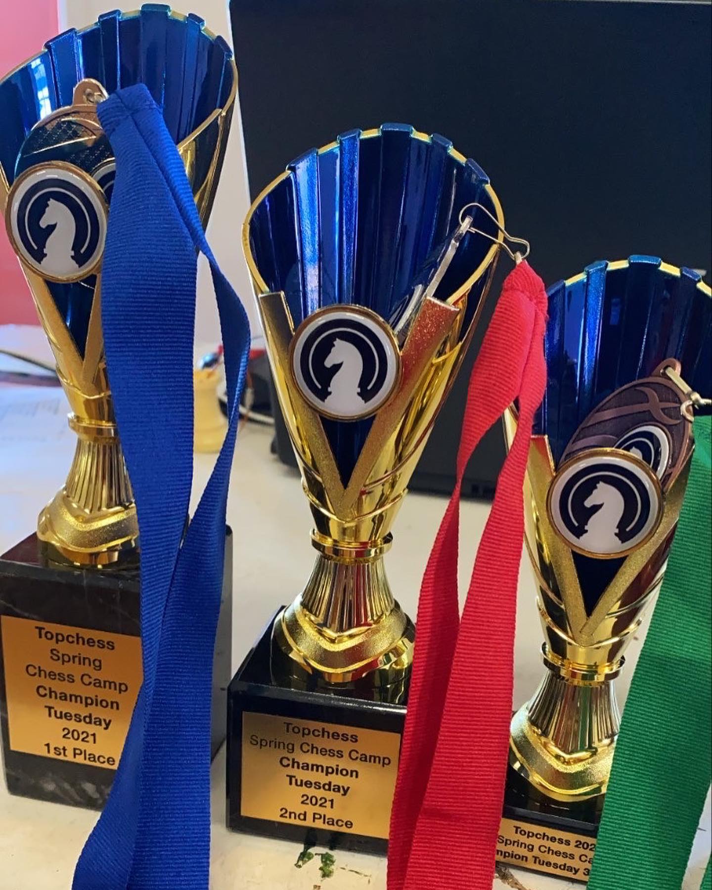 Spring Chess Camp 🌸♟⛺️ Bring your child along for a great time learning chess, activities and lifelong friendships! #topchess #photobomb