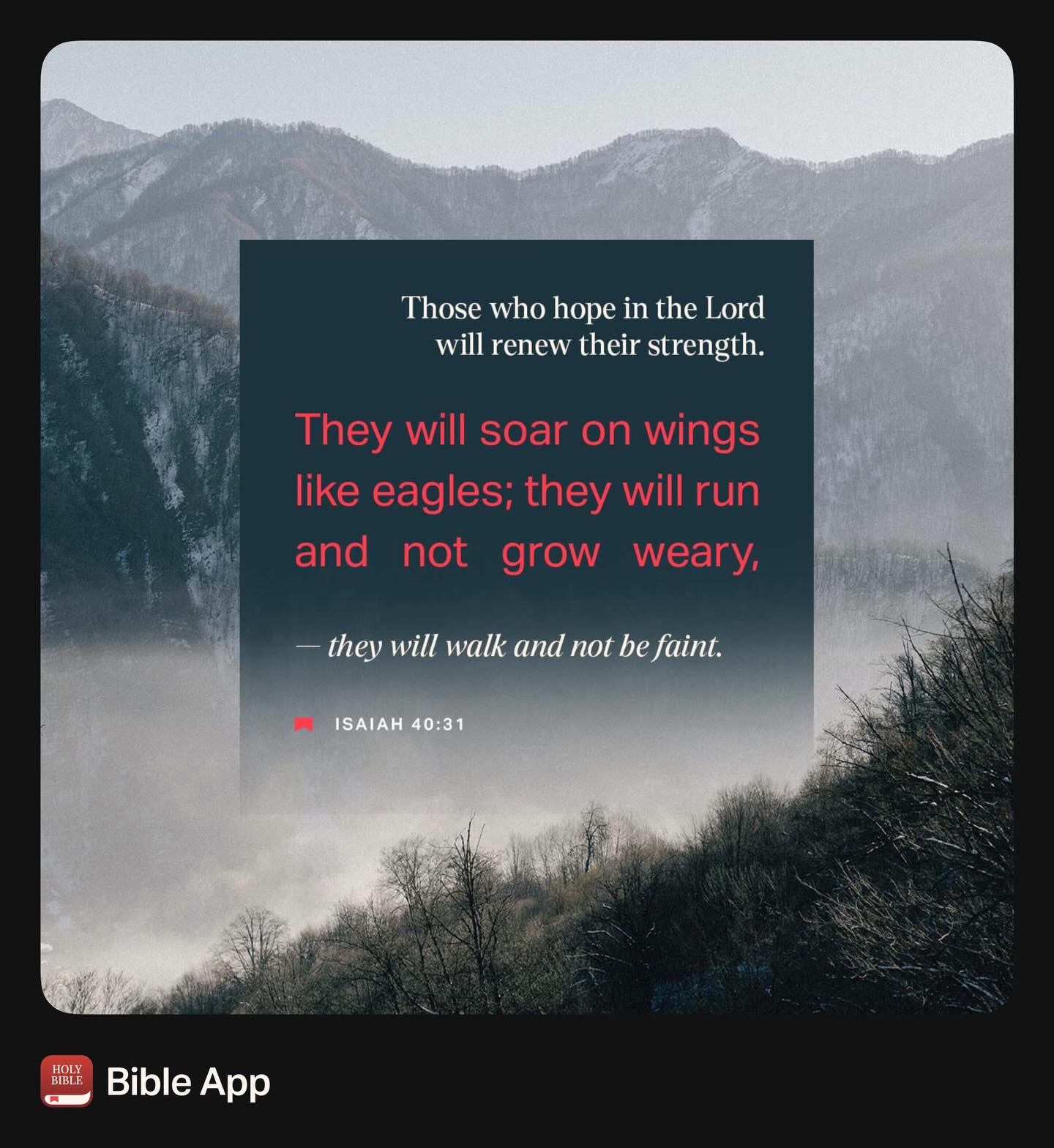 Are you tired?
Weary?
Exhausted?
“Do you not know? Have you not heard? The Lord is the everlasting God, the Creator of the ends of the earth. He will not grow tired or weary, and his understanding no one can fathom. He gives strength to the weary and increases the power of the weak. Even youths grow tired and weary, and young men stumble and fall; but those who hope in the Lord will renew their strength. They will soar on wings like eagles; they will run and not grow weary, they will walk and not be faint.”
Isaiah 40:28-31 NIV