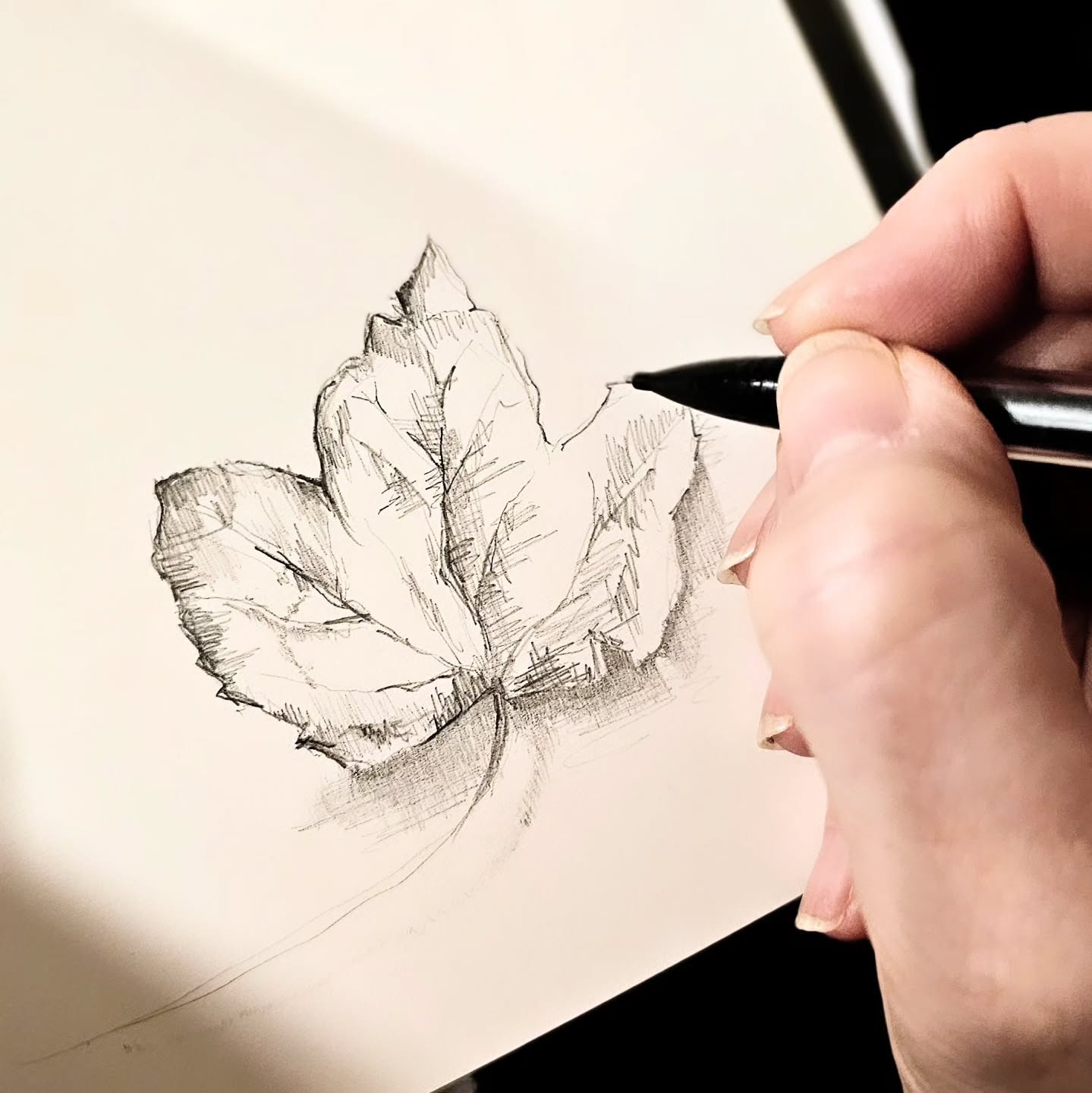 Practicing Makes Progress
๐ฑ If you want it keep wanting it, push yourself and don't give up.