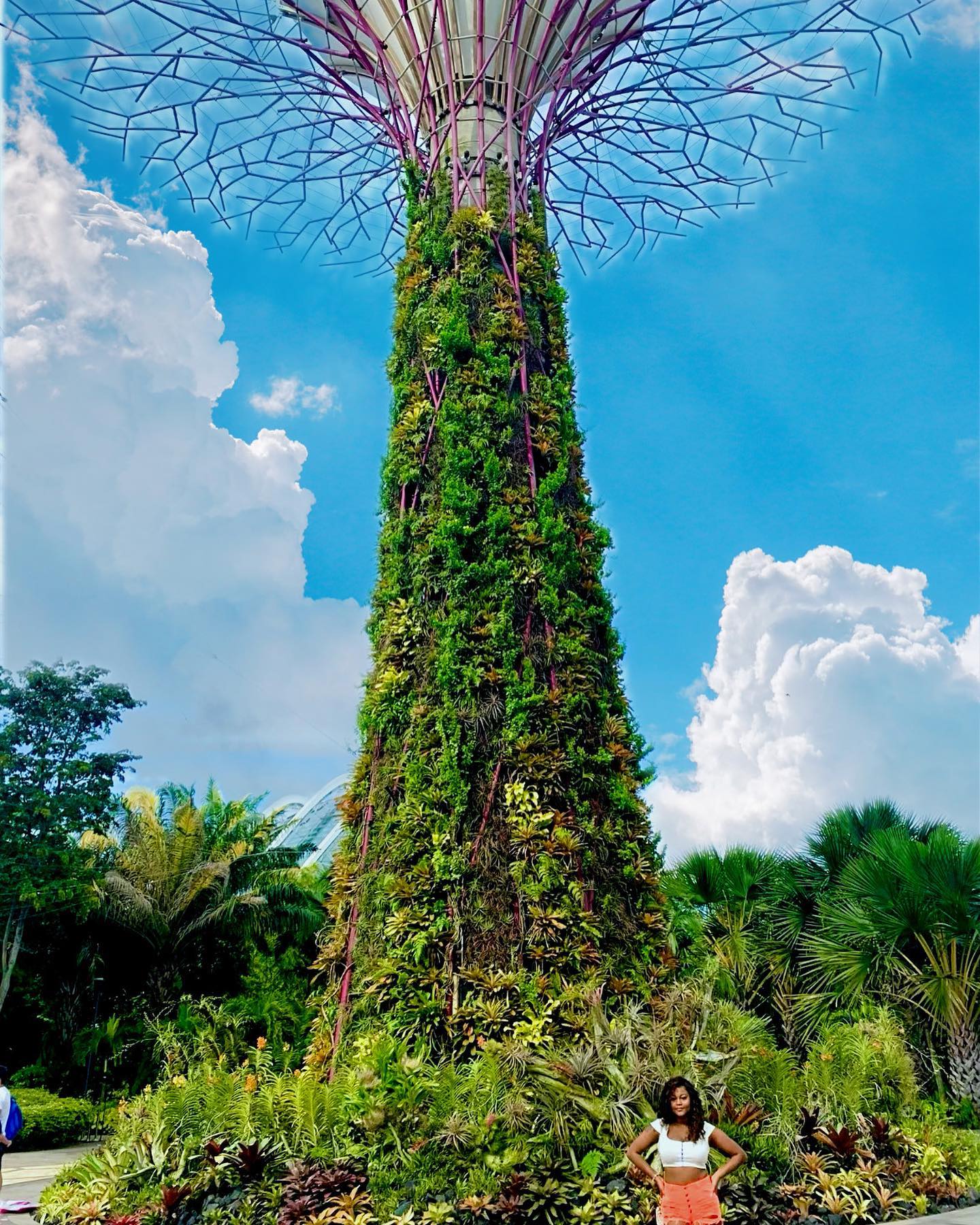 DYK❓
Supertrees are synonymous with Gardens by the Bay and have become a distinct part of the Singapore 🇸🇬 skyline since the Gardens officially opened in June 2012.
Twelve of the 18 iconic structures reside in Supertree Grove. Inspired by mature trees in the rainforest, these man-made Supertrees are home to a large array of plant life. The vertical planting panels installed on the trunks are populated with various species of bromeliads, orchids, ferns and flowering climbers which thrive in Singapore’s tropical climate. 🌺
When dusk falls, the Supertrees light up and a magical glow spreads across Supertree Grove. 💫 🌳
Message us now for more information on your next trip to Singapore! 💕
#marinabaysands #marinabaysingapore #gardensofinstagram #gardensbythebay #pjt #princessj #bookpjt #dyk #didyouknow #humpday #exploresingapore #singaporeinsta #singaporeairlines #explore #wanderlust #supertree #supertreegrove #sgflorist #passportready #passportcollective #messagemenow #luxurytravelconsultant #luxurydesign #luxurytravelagency #travelingblackwomen #solotravel #solotraveldiaries #traveldiaries #travelphotography #skyblue