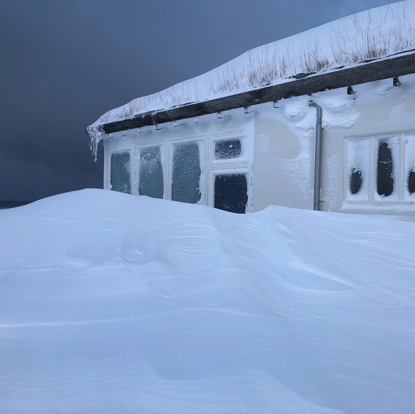 Our studio building in between the relentless snowstorms this week!
💨💨❄️💨🥶
#baerartcenter