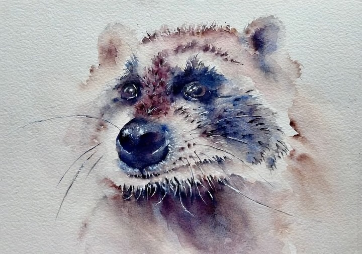 Il procione furbacchione …
Questo piccoletto ha già trovato una nuova casa (probabilmente attratto da qualche leccornia e tana più interessante del mio studio). 🦝✨
Mi è piaciuto vederlo prendere vita in questo video, ma se vi siete innamorati del suo sguardo “colpevole-ma-adorabile”, niente paura:
• 🖼️ Poster: Potete trovare le stampe di alta qualità sul mio sito.
• 🎨 Commissioni: Se volete un ritratto personalizzato del vostro animale preferito (o di un altro procione sfacciato), scrivetemi in DM!
Trovate il link magico per lo shop e le info nella Bio. 🔗
——
✨ Gone in a flash! ✨ Wait for it... then poof! 💨
My little animated raccoon original is officially SOLD. It found its new den faster than a midnight snack raid! 🍟
Sad you missed him? Don’t be! This charming look (and his intense gaze) is still available as a high-quality Art Poster (the perfect non-snack-stealing roommate). 🖼️
OR, if you want something created just for you (your pet, your favorite trash panda, a magical creature?), I am officially OPEN for private commissions. 🎨 DM me or visit the link below to discuss!
🔗 All info, including the print shop and commission details, is via the LINK IN BIO.
#artreels #watercolorraccoon #artprint #trashpanda #artcommission