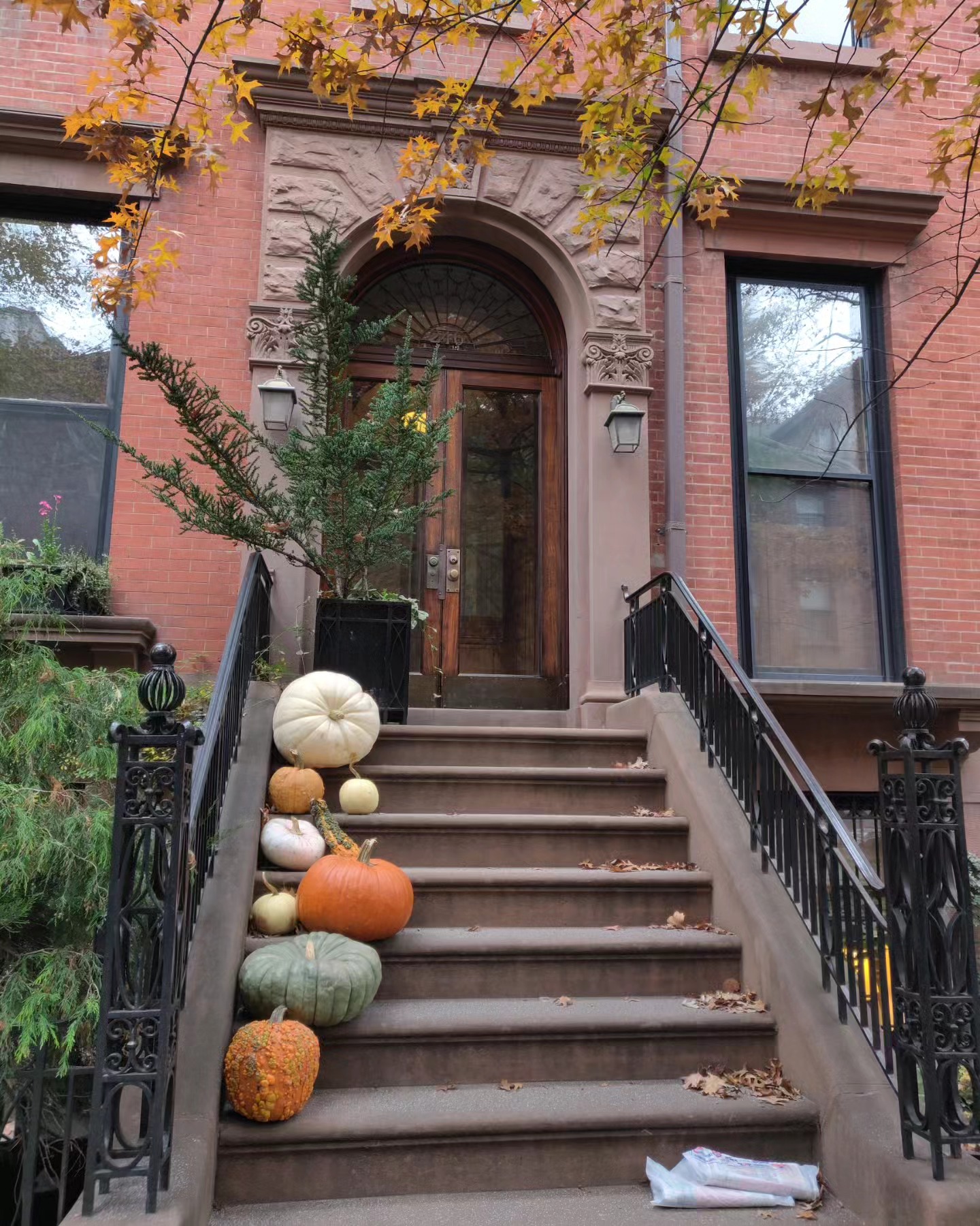 🍂autumnal stoops 🍂
(none of these are our stoop because we do not have one)