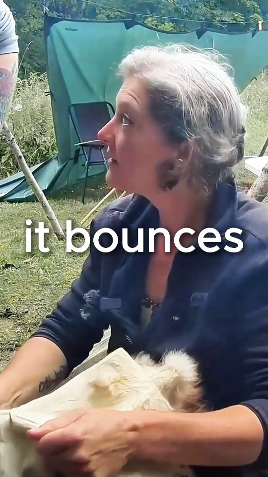 Is It Dry Yet? 🪵
One of the most frequent questions in tanning: is it dry yet? And how do I know for sure?!
When you're softening a skin, being able to identify when the moisture is gone and where it still remains, can make the difference between a soft, supple even skin or one with papery or hard patches.
Here are two of my favorite ways to check:
The Stretch Test:
Give it a firm pull. If the fibers stretch and stay stretched, you still have moisture hiding in there. If they bounce or don't have much stretch then you are winning!
The Lip Test:
It sounds funny, but your lips are incredibly sensitive to temperature, and to the moisture that temperature indicates. Press the hide to your lips—if it feels cool, it’s still wet. If it feels like ambient air temperature or warms to your lips quickly, it’s dry!
Haptic feedback is a big part of Tanning! Using all your senses to connect with the material will make you a more consistent tanner! 😁🔥
Happy Hide kissing!
#hidetanning #bushcraftskills #ancestraltechnology #leatherwork #leathercraft