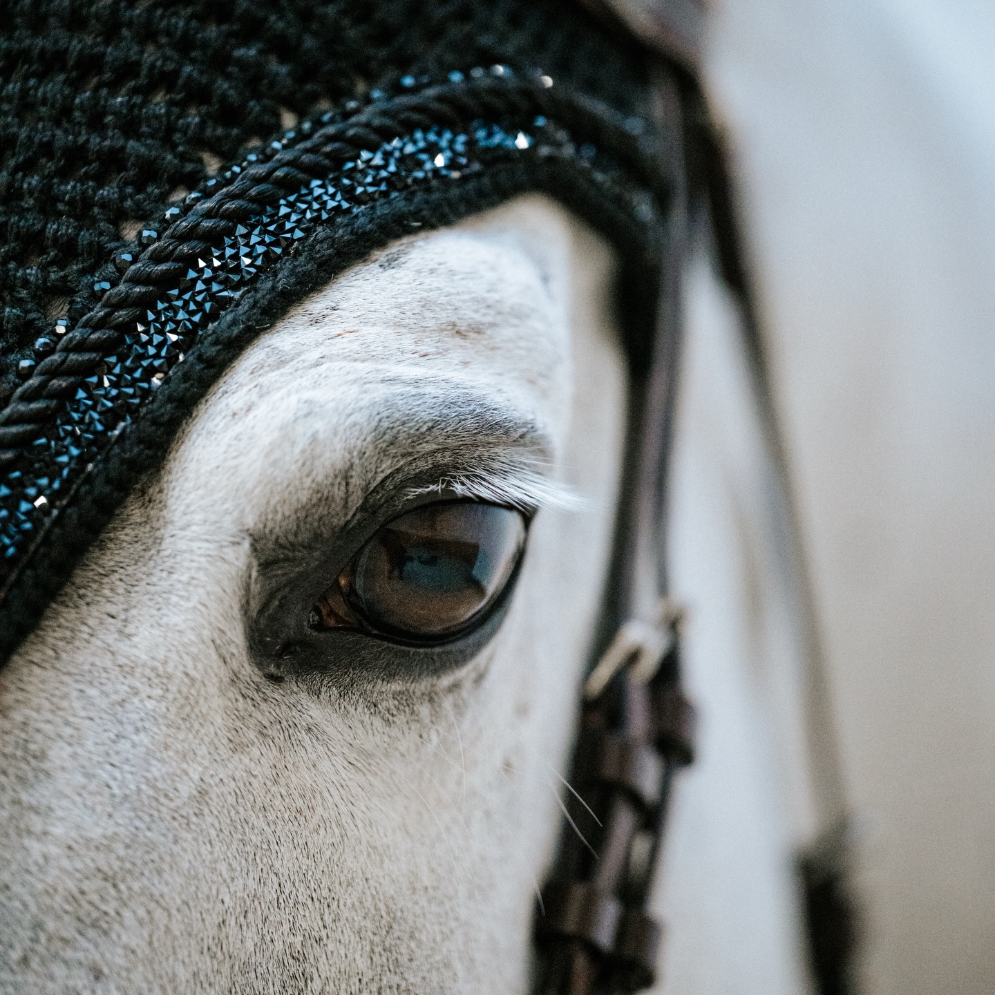 Only one more day until the new collection drops. Are you ready? ✨
.
📸 @mworld_photography