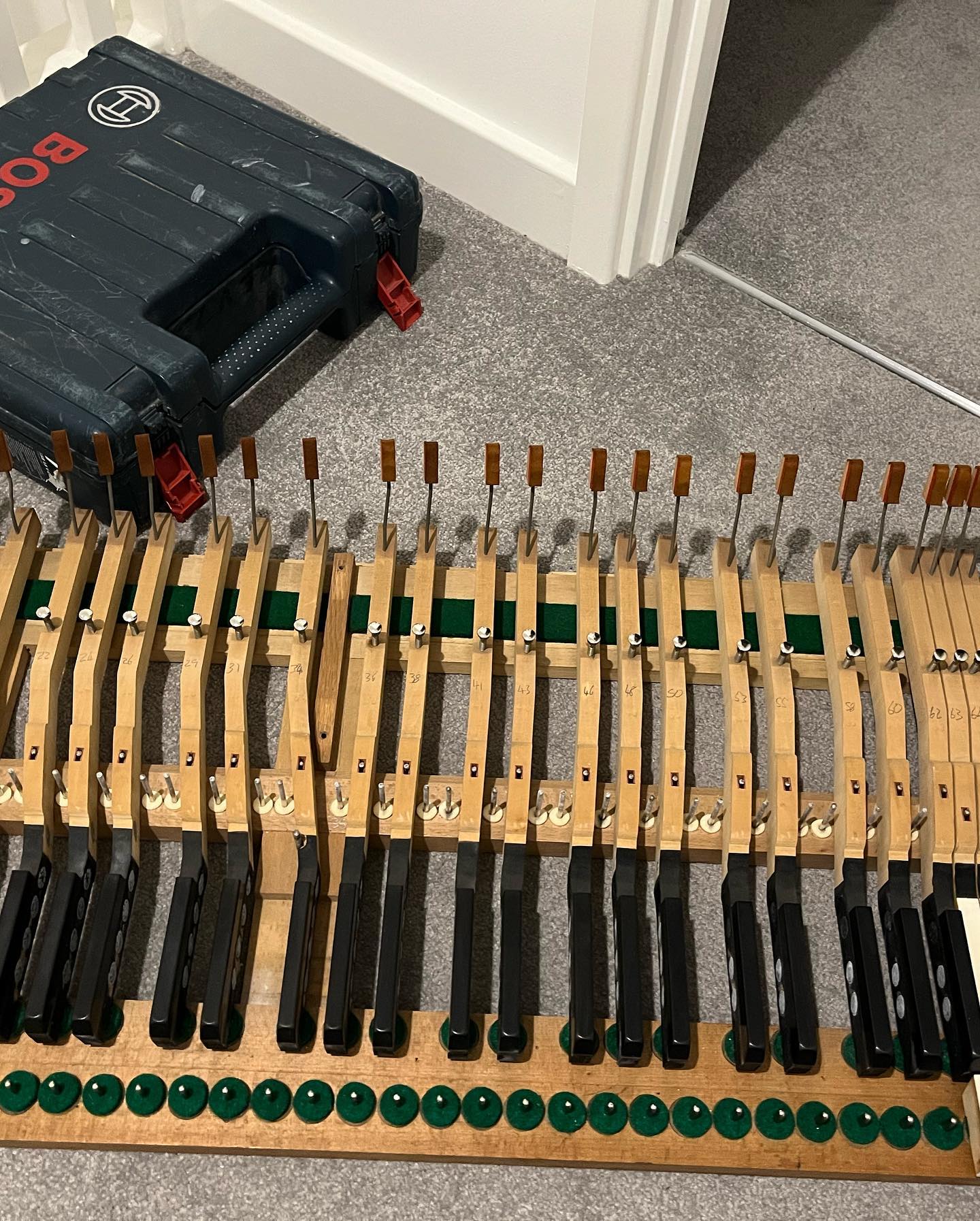 Some recent fun 🤟