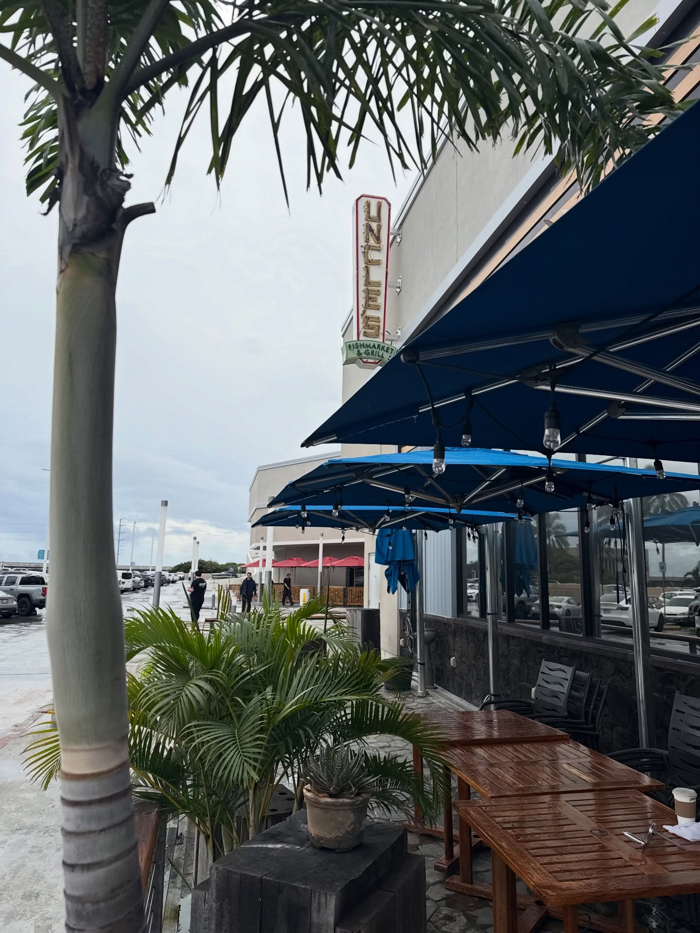 While we patiently wait for the Kona rainforest to finally arrive and for the sashimi Ahi prices to stop acting like they’re a luxury stock, we are still open and functioning like normal humans.
Our daily specials are available, and yes—our sashimi grade Ahi is still the same portion and the same price. Miraculously, we have not turned it into a limited-edition collector’s item… yet.
So come by, enjoy the specials, and rest assured the Ahi situation is stable—for now. 🐟
#unclesfmbarandgrill #pearlridgemall #sashimi #ahi #freshingredientsonly