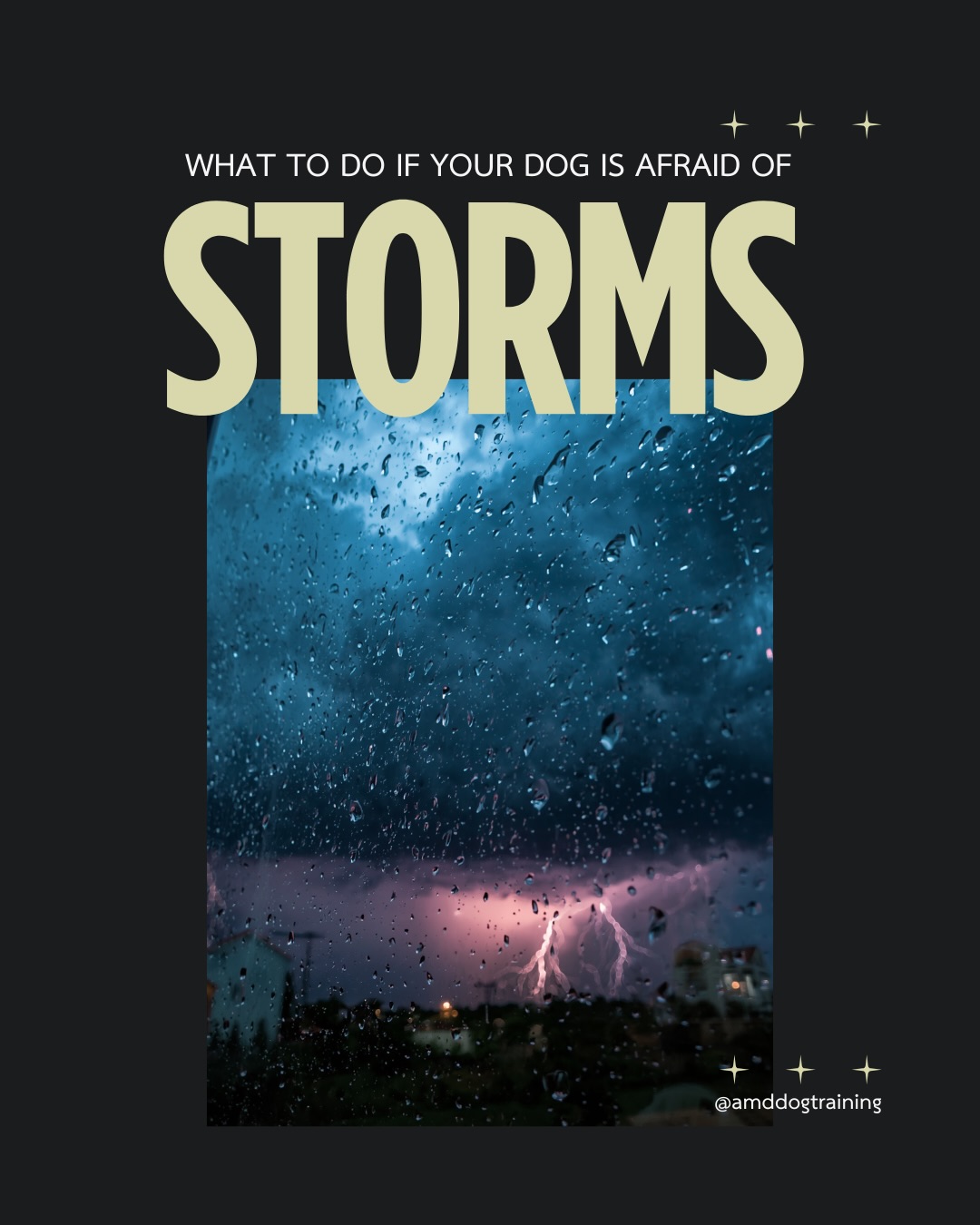 Storms can be absolutely terrifying for many dogs. It’s important to keep them as comfortable as possible and do what works best for your dog! Here are some of my tips to make storms a little less stressful for you and your pup 🫶 #dog #doganxiety