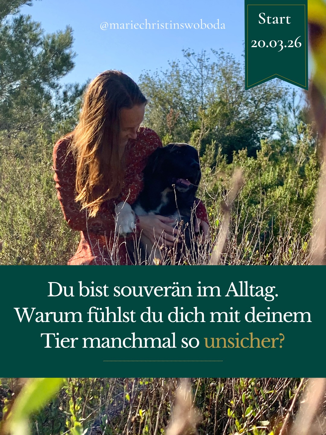 Du willst dein Tier nicht „im Griff“ haben.
Du willst, dass es sich bei dir sicher fühlt.
Du willst Spaziergänge, die dich regulieren, nicht noch mehr stressen.
Du willst auf der Wiese stehen und spüren:
„Zwischen uns ist Vertrauen.“
Genau darum geht es in diesem Gruppenprogramm „Was dir dein Tier wirklich zeigt.“
Nicht um Kontrolle.
Nicht um Diziplin oder Dominanz.
Sondern um Beziehung. Du und dein Tier.
Wenn du Teil dieser großartigen Gruppe sein willst ,kommentiere TIER und ich schicke dir alle Infos zum Programm.
#MenschUndTier #TierverhaltenVerstehen #SystemischesDenken #BewussteTierhalterin #NervensystemRegulation
Gruppenprogramm Tierkommunikation, Mensch Tier Beziehung stärken, Nervensystem Hund verstehen, Pferd reagiert auf Energie, Co-Regulation lernen