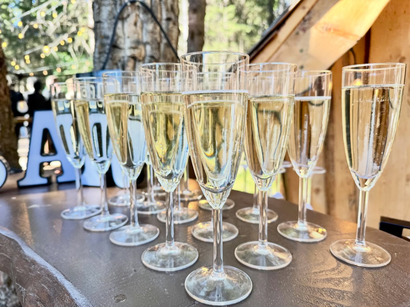 #aaamobilebartending #champagnetoast #weddingbartender #eventbartender