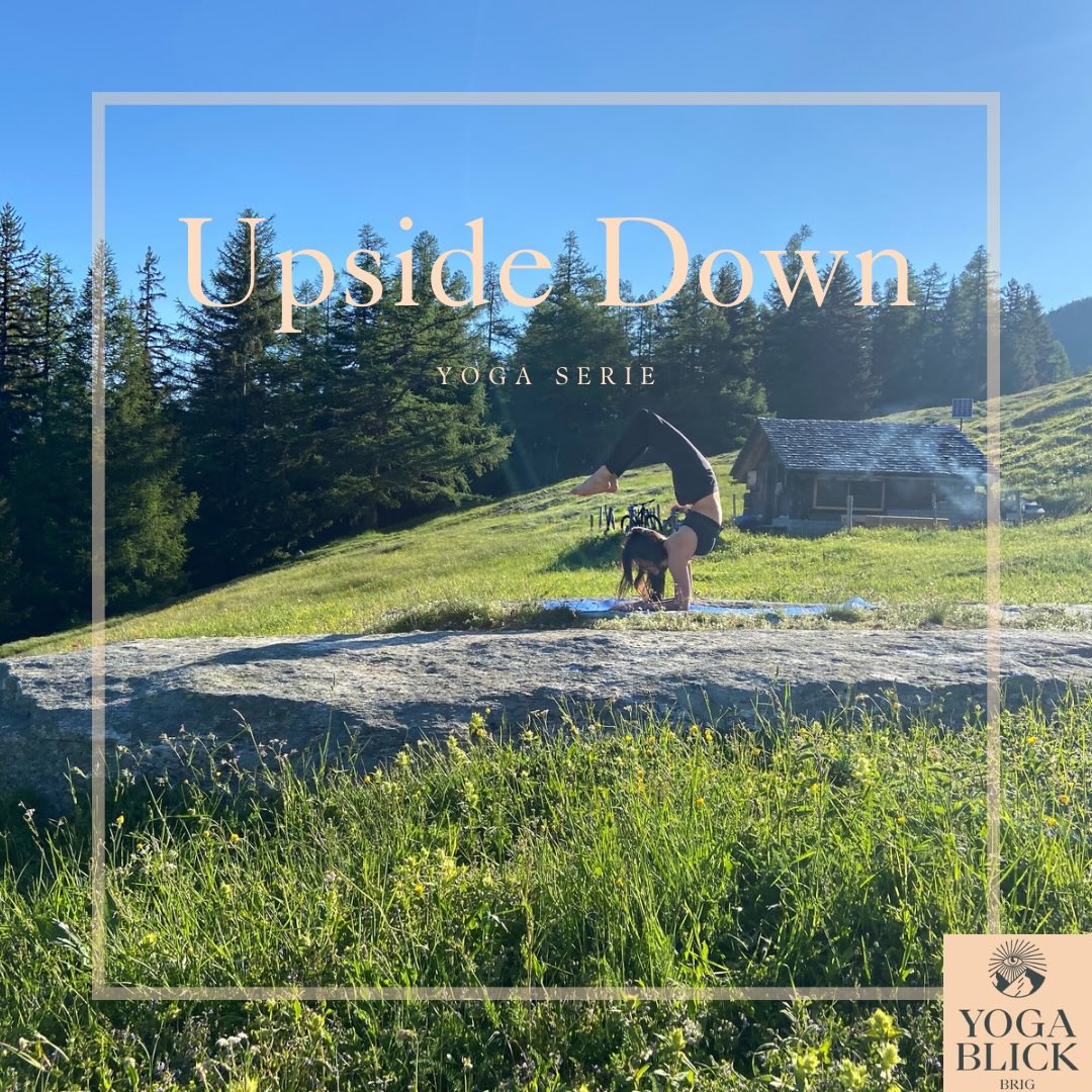 🤸🏻♀️Bevor ich in den Mutterschutz gehe und wir als Familie erneut Zuwachs erwarten, erwartet dich im YogaBlick Brig in den kommenden Wochen noch ein besonderer Fokus 🤸♂️
In einer kleinen Serie über 4–5 Wochen widmen wir uns den Grundlagen von Handstand, Unterarmstand und weiteren Umkehrhaltungen.
Aufbauend auf den vergangenen Stunden arbeiten wir Schritt für Schritt weiter an:
- Schulterkraft und Schulterbeweglichkeit
- Core und aktives Abheben vom Boden/Push to Lift
- Balance, Orientierung über Kopf und Technik
- spielerischen Progressionen und Variationen
Wie immer eingebettet in ausgewogene Vinyasa-Flows, wie du sie von mir kennst, mit viel Raum und Variationen zum Ausprobieren! Eine schöne Gelegenheit für alle, die schon länger neugierig sind, sich sicher und spielerisch an Umkehrhaltungen heranzutasten. Ich freue mi! 🤗😍
PS: Plätze fast ausgebucht, melde dich bald!
#yogabrig #vinyasayoga #umkehrhaltungen #handstandprep #pinchaprep