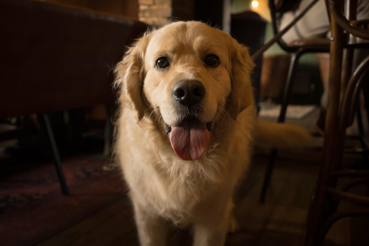 Suns out! โ๏ธ
How about we go for a nice walk and end up in the pub for some lunch? ๐
Perfection.