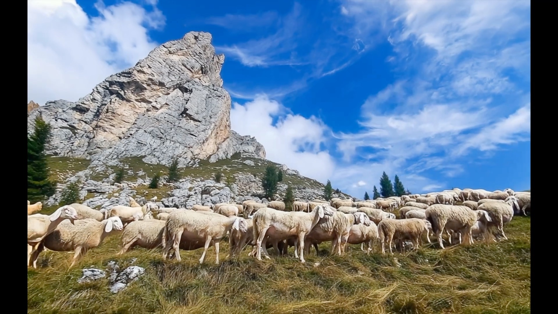 The Dolomites workshop is about more than just standing at a viewpoint. It’s about getting outside and experiencing the Dolomites through alpine trails, mountain passes, and quiet valleys where the best photographs often happen between the well-known locations. If you enjoy photography and being immersed in nature, this trip is built for you #DolomitesItaly #AdventurePhotography #OutdoorPhotography #PhotographyAdventure #ExploreMore