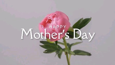 Happy Mother’s Day to the incredible mums of ballet dancers! 🌸🩰
Thank you for the early mornings, the countless hair buns, the car rides to rehearsals, and the endless encouragement from the wings. Your love, patience, and support help every dancer take the stage with confidence and grace.
Behind every pirouette, plié, and standing ovation is a mum who believed first. 💖
Today we celebrate you—the quiet heroes of every performance. Happy Mother’s Day! 💐
#mothersdayspecial❤️