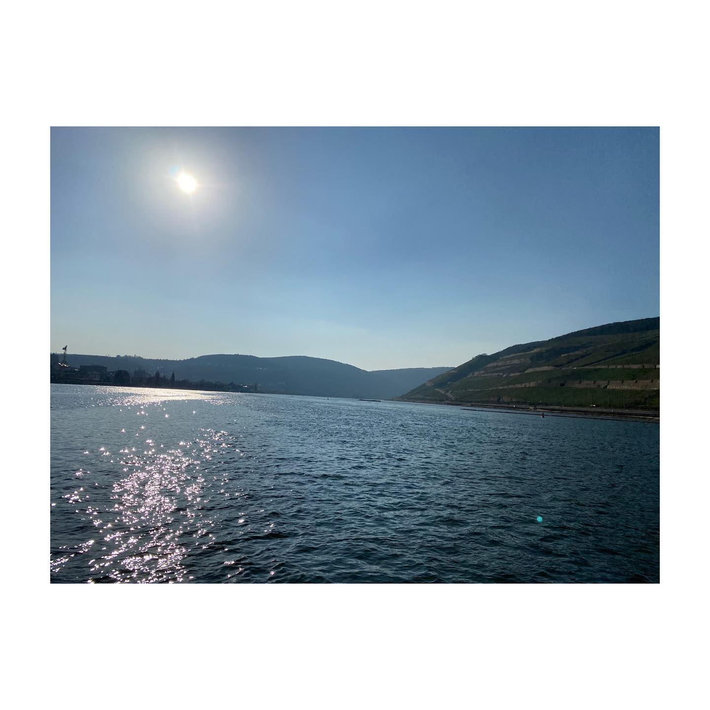 Last but not least some sunny snaps across the Rhein ferry to the Rheingau around Rüdesheim. 🥂 I hope your all enjoying the sun and having some grape days ✌️
#rheingau #wineregion #spring #germany #riesling #winetour #grapeescape #wineviews