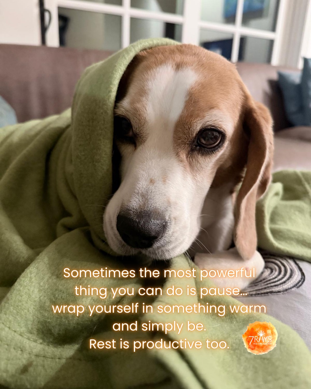 Friday Reminder from Lilo
Sometimes the most powerful thing you can do
is pause…
wrap yourself in something warm
and simply be.
Happy Friday from Hemla and Lilo at 7 Rays.
📸 Photo by Hemla
#reawakenthepower
#colortherapy #familyconstellations #CrystalHealing #EnergyWork #Intuition #Productivity #SpiritualGrowth
#ColorTherapy #SelfExpression #ChakraHealing #7rays #lilo