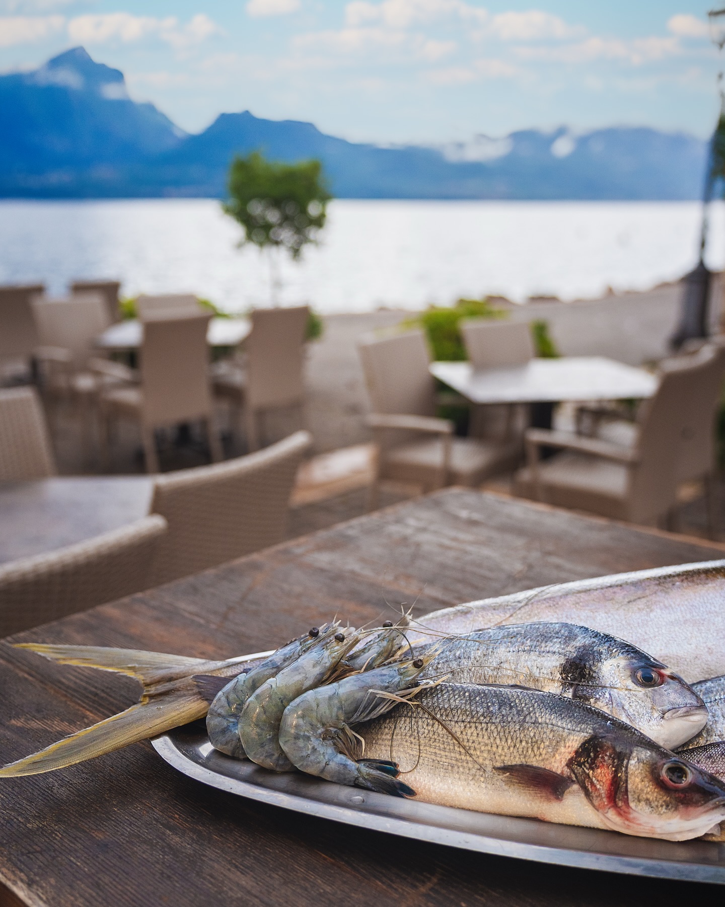 Le 17:30 hanno un sapore speciale sul lago. 🌅
Il sole che scende piano, la brezza del Garda e il profumo del pesce appena arrivato in cucina.
Da Carlo ogni momento della giornata è perfetto per fermarsi, guardare l’acqua e lasciarsi conquistare dai sapori del lago. 🐟🍤
Un tavolo vista lago, un piatto di pesce fresco e il tempo che rallenta.
Ti aspettiamo a Torri del Benaco. ✨
#RistoranteDaCarlo #DaCarloGarda #ItalianDining #GourmetGarda #DinnerWithAView