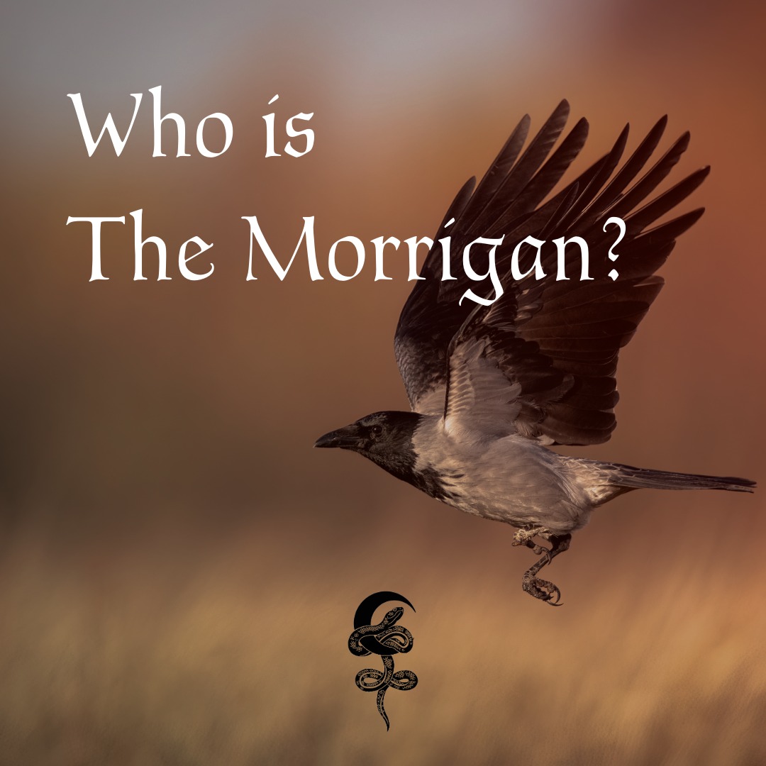 The Great Queen. The Phantom Queen. The Voice of Fate.
To know the Morrígan is to understand that power is never given—it is claimed. Whether she appears as the sovereign Mór-Ríoghain or the shifting nightmare of the battlefield, she reminds us that we are the architects of our own destiny.
She is the storm that clears the path. Are you ready to walk it?
Sisters of Lilith: Reclaiming the Shadows.
#TheMorrigan #SistersOfLilith #CelticMythology #Sovereignty