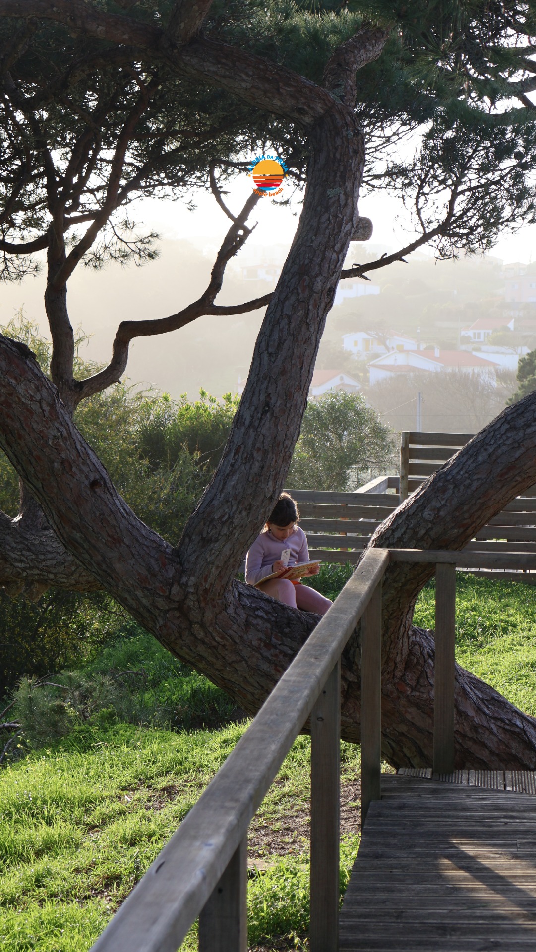 🇬🇧 If there is a place where spring begins earlier...
it is in Aldeia da Praia.
🇵🇹 Se há um lugar onde a primavera começa antes…
é na Aldeia da Praia 🌞
#AldeiaDaPraia #SintraSurf #SurfPortugal #SlowLiving #BeachLife #StayAtAldeia #OasisSintraSurf #HealthyLifestyle