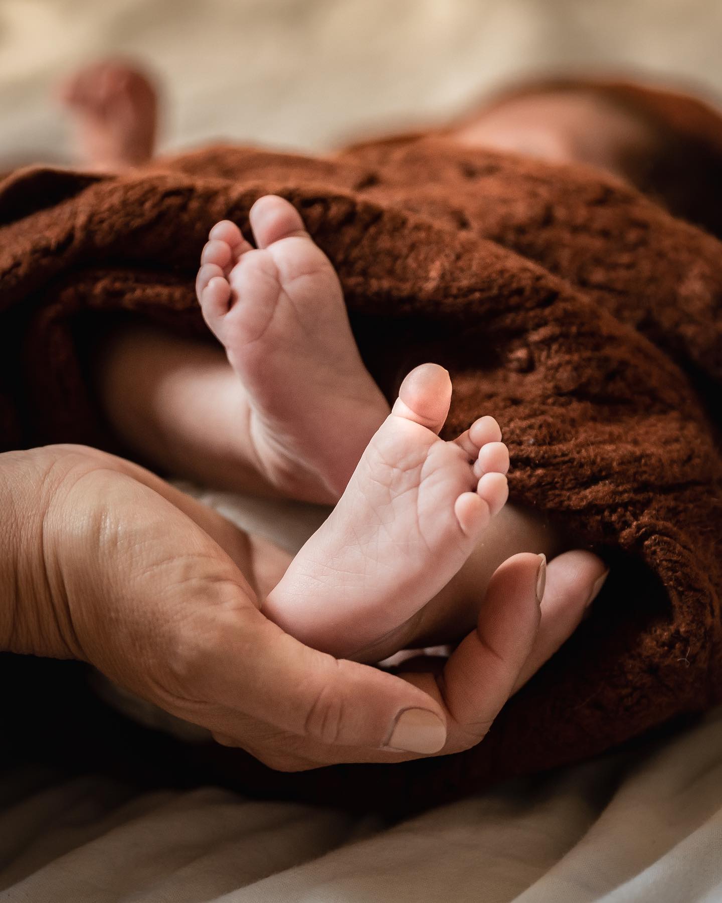 … BABY FEET … 👣 enveloppés des mains de maman 🧡
N’hésitez pas à ajouter ma séance naissance à votre liste de naissance ou à votre liste de Noël… ✨
Reportage complet bientôt en ligne // emmanoam.com/histoires-de-vie ❄️
Et encore merci à cette magnifique famille pour leur confiance 🤍
#photography #photographe #photographer #photographelyon #baby #bebe #photographenaissancelyon #shootinggrossesse #shootingbebe #photographenaissance #photographefamille #photographefamillelyon #seancephotobebe #portrait #babyfeet #mummybaby #nikon #emmanoam #igerslyon