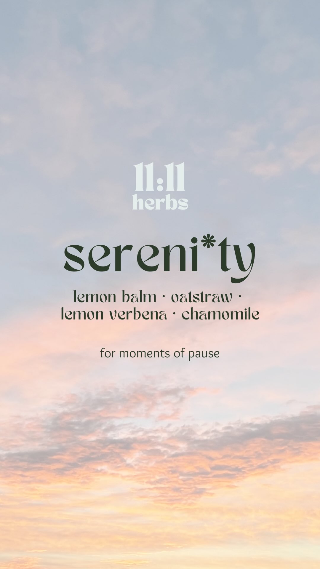 One of the 11:11 Ritual Collection - Sereni*ty™. I’ve been working on this blend for a while now…
Trying to find that balance between something that’s genuinely calming, but still light enough to drink every day.
It’s surprisingly easy for a tea like this to become too heavy, or too medicinal — and I wanted something that felt soft, comforting, and easy to return to.
Today it finally felt like it came together.
Sereni*ty™ is built around lemon balm, oatstraw and chamomile, with a few gentle additions to round it out and make it really enjoyable to drink.
This is the kind of tea I reach for in the afternoon, when things feel a bit busy or overstimulating…
just to take the edge off and slow things down slightly.
This one feels special 🤍
#herbaltea #herbalist #nervoussystemsupport #herbalmedicine #ritual #wellnessroutine #calm #adaptogens #smallbusinessuk