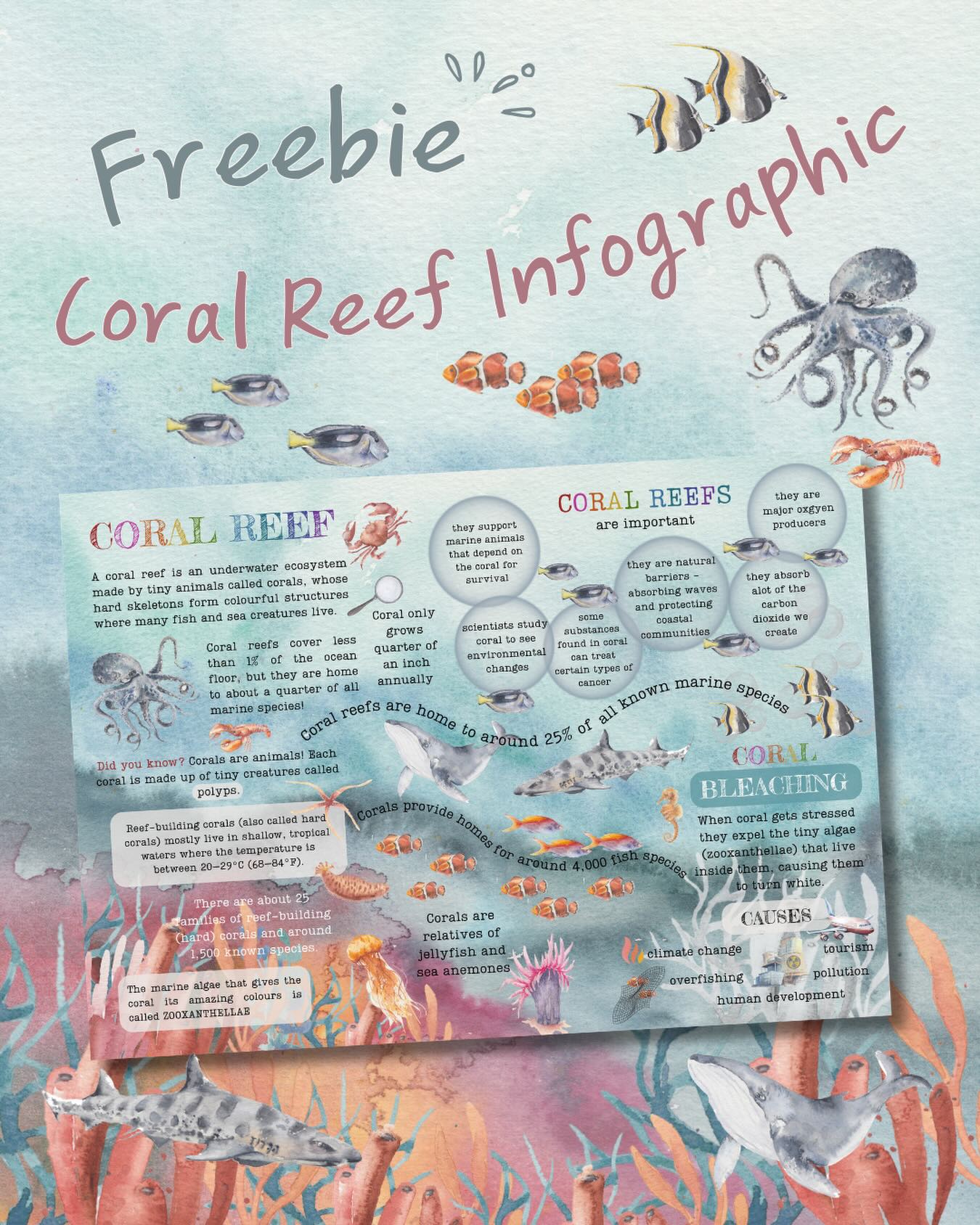 🔔 Freebie alert 🔔
I have updated my coral reef poster and want to offer everyone it for free for this weekend. Click the link in my bio. #coralreefposter #freehomeschooling #freelearningresources #freeposter #freebiefriday