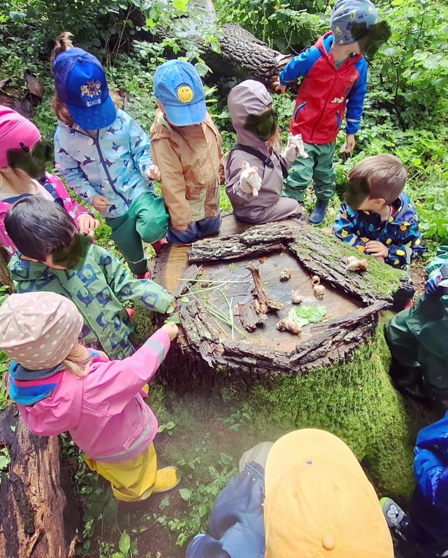 Es gibt kein schlechtes Wetter.. nur super Waldtage!🌿🌱🍃 🪵🌲#hallosommer #regenmachtunsnichts #kleineentdecker #waldwochen #montessorikinderhausaufkirchen #integrativerkindergarten #kindergartenstarnbergersee #welovemontessori #montessori #gemeindeberg