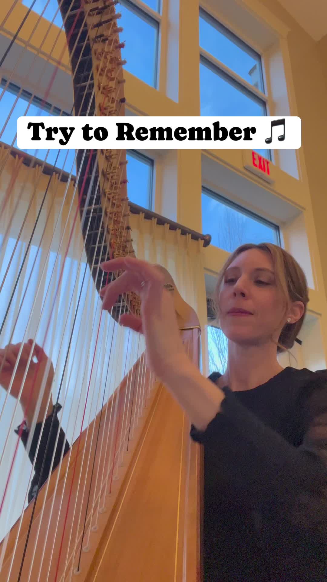 Try to Remember” from The Fantasticks ✨
I’ve had the joy of playing harp for this musical, and the score has some absolutely beautiful harp writing. Such a charming show!
Has anyone seen The Fantasticks live? 🎭
#harp #harpist #thefantasticks #trytoremember #musicaltheatre #harp music #harp over #pitmusician #harplife #musiciansofinstagram