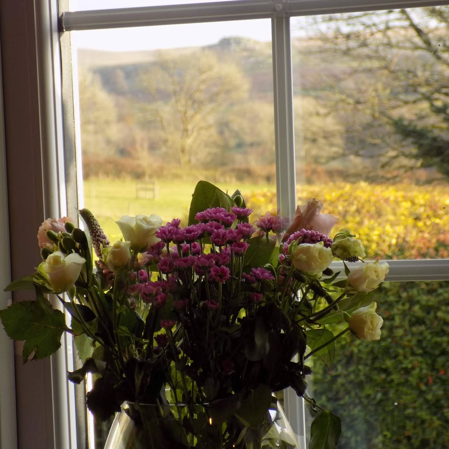 “Wishing every mum a beautiful and love-filled Mother’s Day 💕”
.
.
.
#happymothersday♥️ #flowers #mothersday #mumsofinstagram