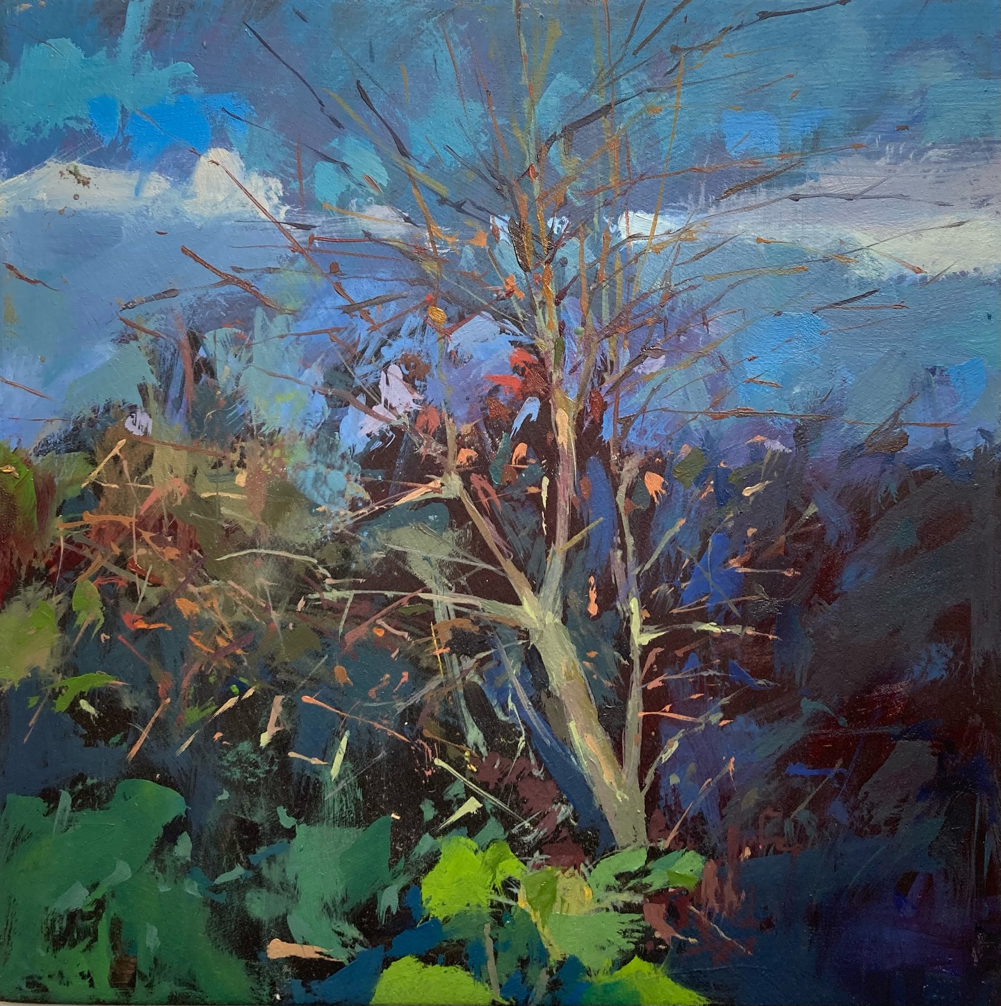 I was painting part of our hedge yesterday, there’s something about this section of hedge that I love, it’s something to do with the colours in the hedge and the colours in the sky behind, such a simple view but captivating too..
#enpleinair #enpleinairartist #paintinghedges #landscapeartist #cumbrianartist