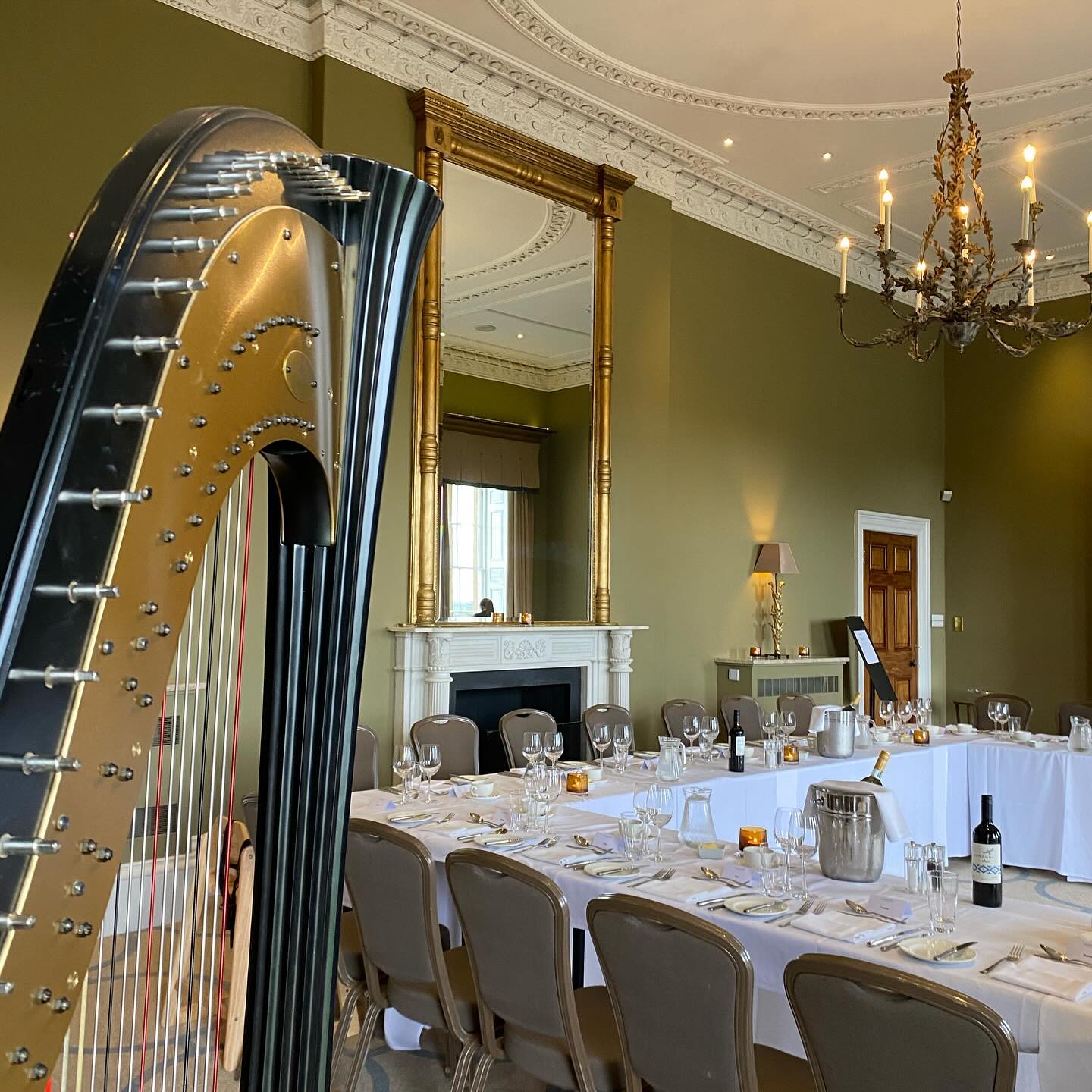 A very happy 93rd birthday to Reginald! 🎉 I thoroughly enjoyed playing for this sweet celebration.
#harpist #harrogate #ruddingpark #ruddingparkhotel #yorkshire #northyorkshire #yorkshireharpist #yorkshiremusic #yorkshiremusician #harp #englishstatelyhome #beauty #englishmanor