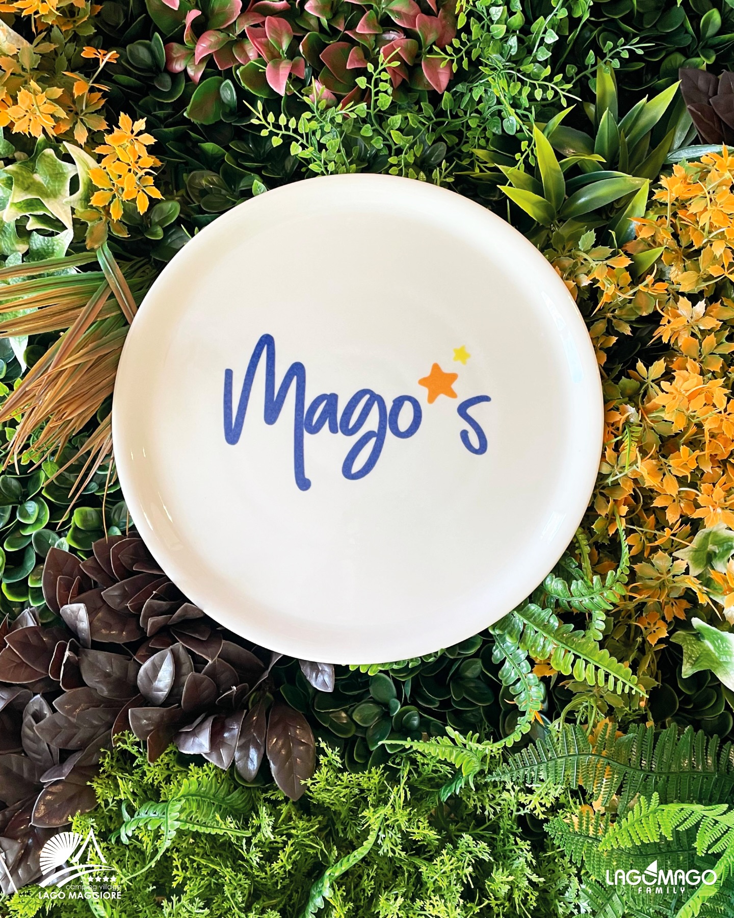 Quest’anno il nostro ristorante si tingerà di magia... siete pronti a farvi catturare dal gusto? ✨🍝
🇬🇧
This year, our restaurant will be touched by magic... are you ready to be captivated by the flavor? 🪄🍝
🏕 @lagomag
🌈 @lagomagofamily
🌳 @camping_eden
🏖 @italialido
🦢 @edenvillage_lagomaggiore
#CampingVillageLagoMaggiore #CampingLagoMaggiore #LagoMago #lagomagofamily #campinglagomaggiore campeggiolagomaggiore italiancamping lakecamping italianvacation lakemaggiore camping lagomaggiore travel italianholiday italianvacation relax piedmont piemonte laghiitaliani italianlake italianfood