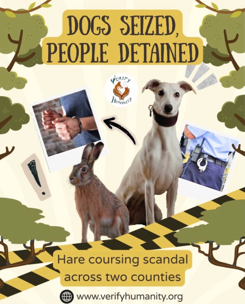 Hare Coursing is a brutal and illegal blood sport where dogs are set on hares for entertainment and gambling. The terrified animal is chased, injured and often killed.
Beyond the suffering caused to wildlife, hare coursing is frequently linked to wider rural crime, including trespass, property damage, intimidation and dangerous driving.
Recent police action across Suffolk and Cambridgeshire shows how seriously these offences are being treated, with dogs seized and multiple people detained following reports from the public.
Wildlife deserves to live freely away from cruelty and exploitation.
If you see suspicious activity in rural areas, report it to the police. Public information can play a vital role in stopping wildlife crime.
#StopHareCoursing #ProtectWildlife #RuralCrime #JusticeForAnimals