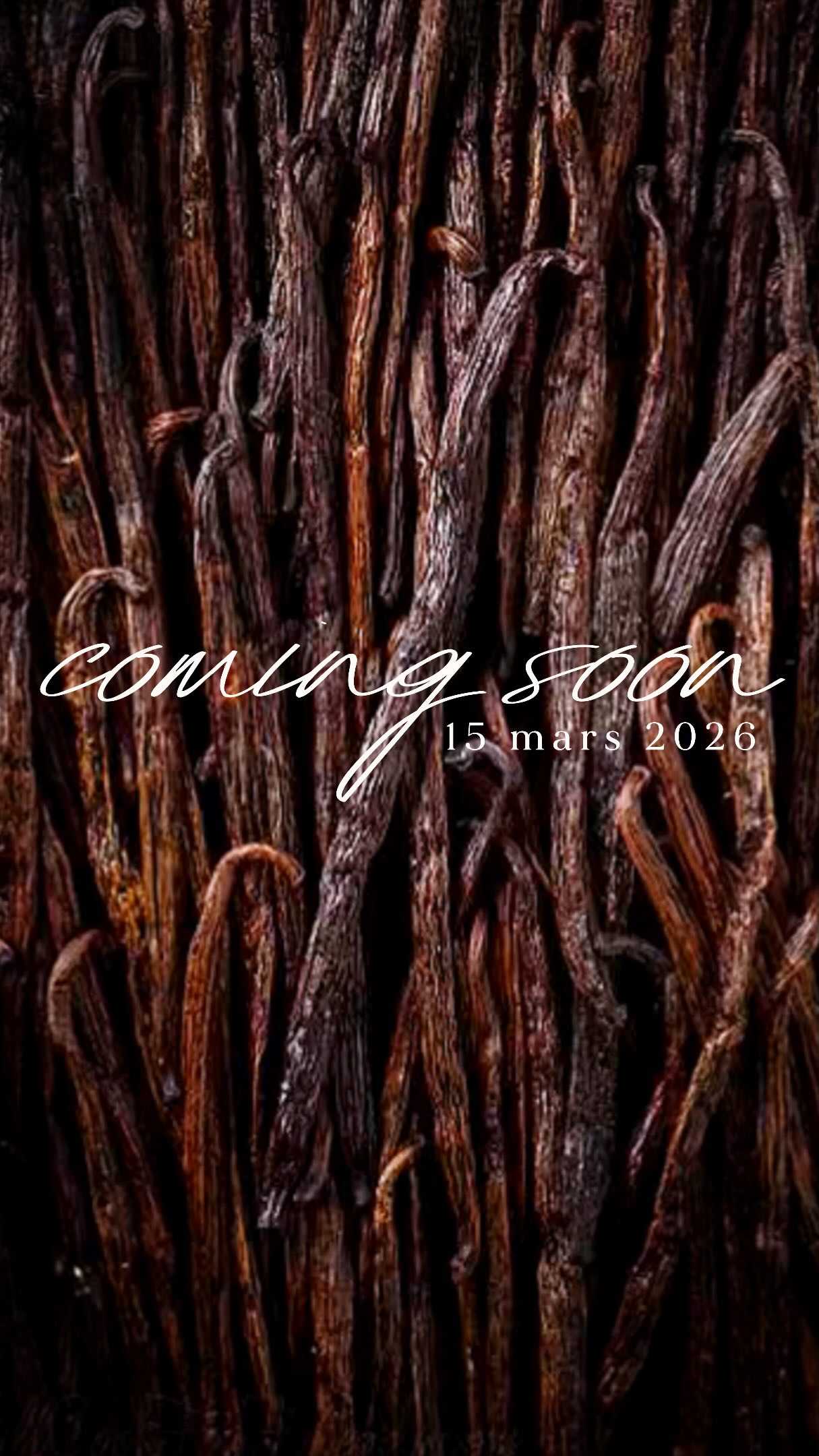 La luminosité revient et mes créations commencent à fleurir 🌱
Je travaille depuis plusieurs semaines sur la collection de printemps, autour de parfums frais, floraux et doux 🌼
Je ne te dévoile pas encore tout mais, dès lundi, je commencerai à t’en dire plus sur cette nouvelle collection ✨
💌 Et si tu est impatient-e, la newsletter te permettra d’avoir les informations avant tout le monde.
🌼 Quels parfums aimerais-tu pour ce printemps ?
#bougiesartisanales #senteurs #marquesuisse #artisanatsuisse #ateliermailau