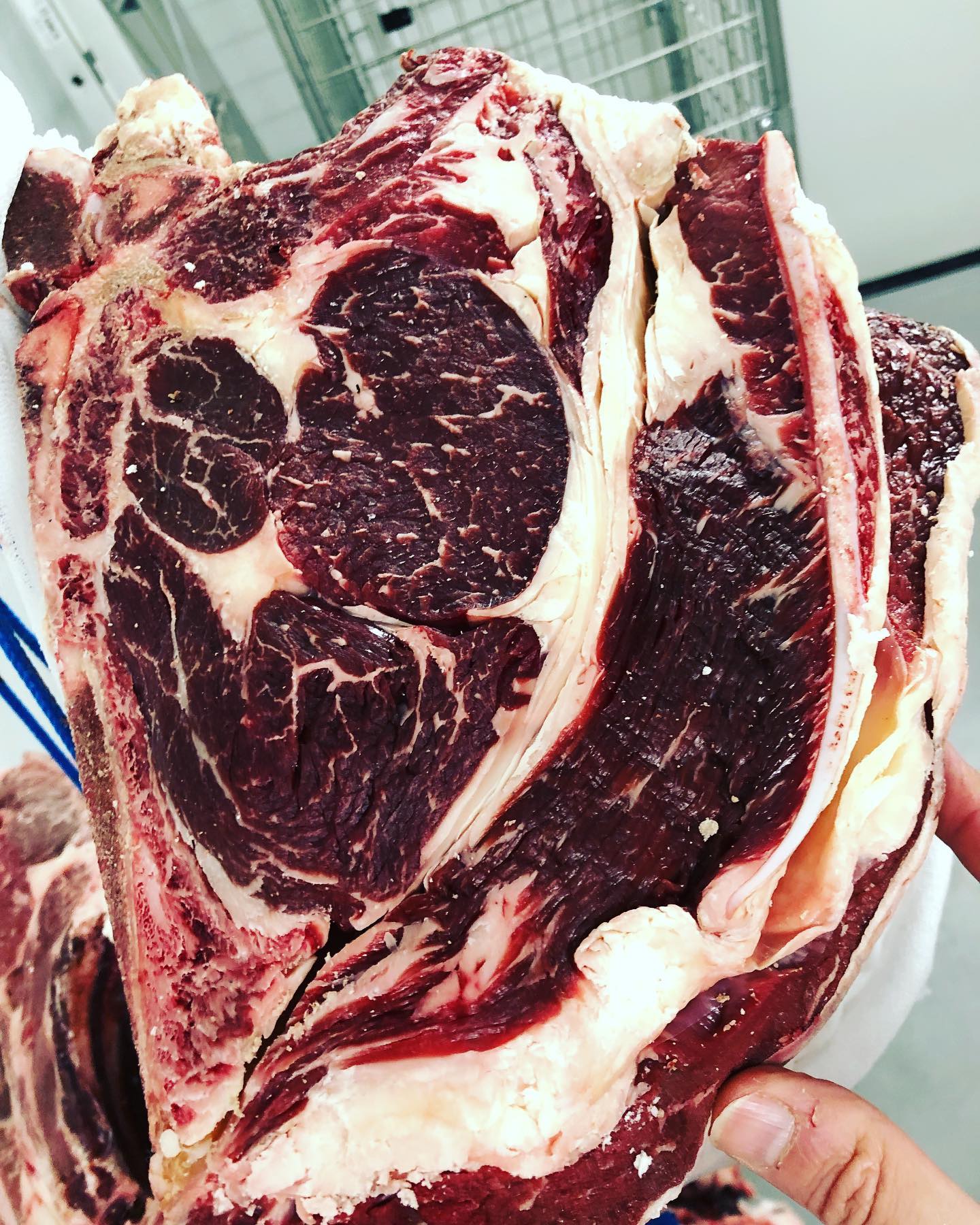 Ah les belles françaises 🇫🇷… je suis Salers et Charolaise de la région Rhône Alpes #viandesmaturées #corbas #boucherielyonnaiseorigine