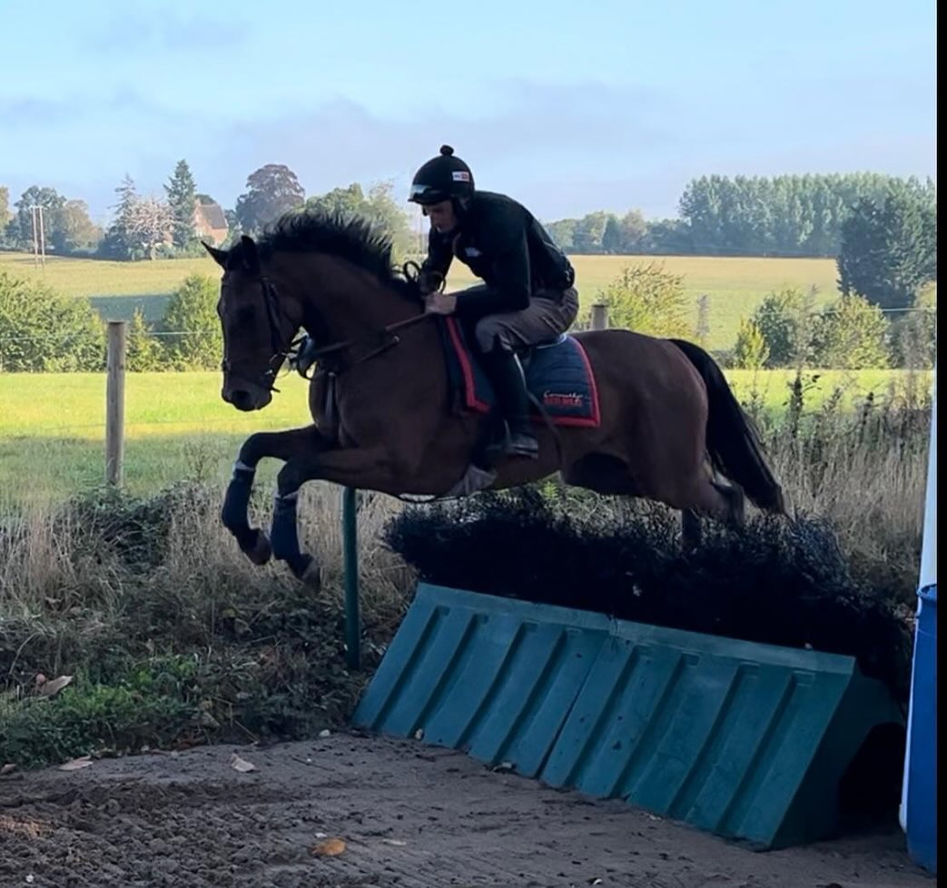 Mondays aren’t all bad 😍#thomassymondsracing #teamsymonds #dasoncourt #herefordshire #nationalhuntracing #redmillshorsefeeds #gundoggin