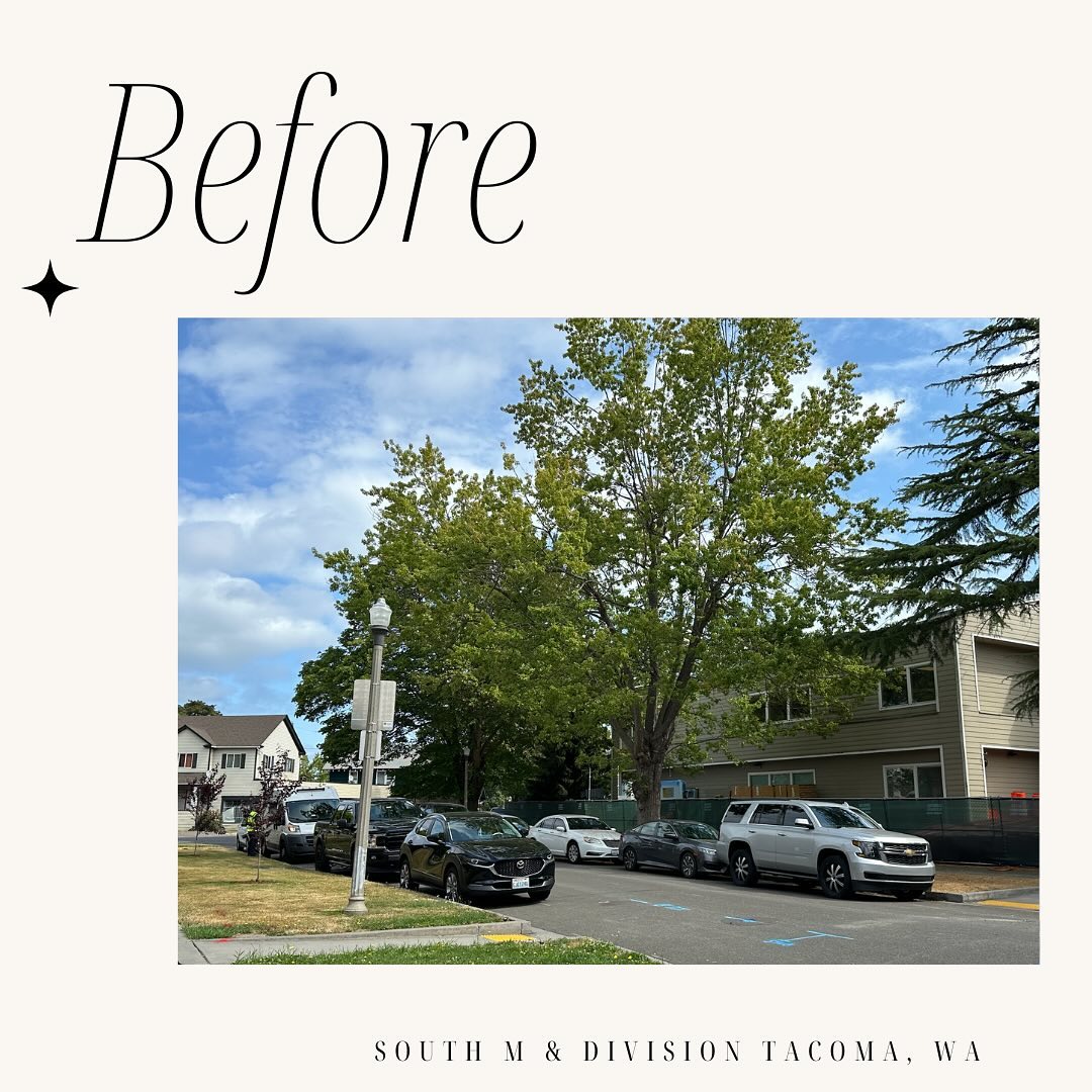 Received a heart breaking update today on a beautiful tree on South M and Division. Our contact stated they would be saving all three trees, then we found out a permit had been issued to cut down the middle tree for a driveway. Feeling powerless? Me too. But look at the last photo for two suggestions of what to do!