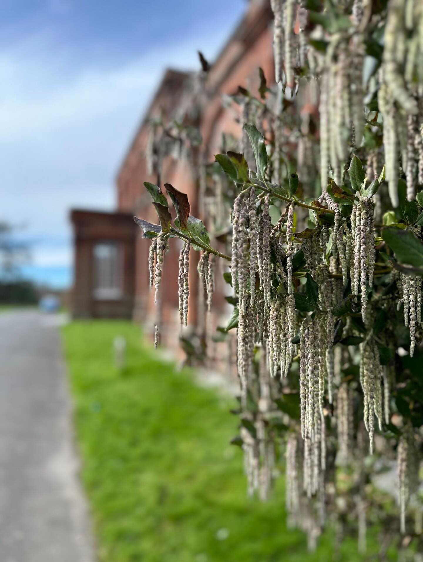 Gospel at Work Spring Getaway
31 March (evening) – 2 April (after dinner)
What to expect:
🗣️ Four talks on Joel plus discussion time in small groups
😀Plenty of space for rest and fun
👶 A full children and youth programme
🌷Beautiful country house - glorious in the Spring.
A winning combination of fresh air, beautiful scenery, great food, God’s word and God’s people.
🔗 Sign up today - link in bio