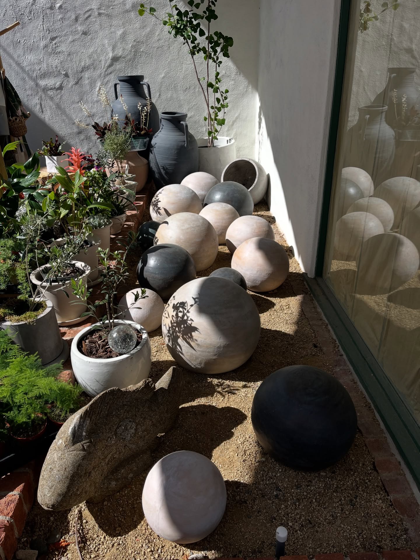 There’s nothing better than watching a vision come to life, taking a few beautiful pieces and turning a backyard into a Rancho Santa Fe garden moment.
Design, nature, and a little Plantology magic. ✨
#Plantology #PlantologyPlantsAndMore #RanchoSantaFe #GardenDesign #OutdoorLiving