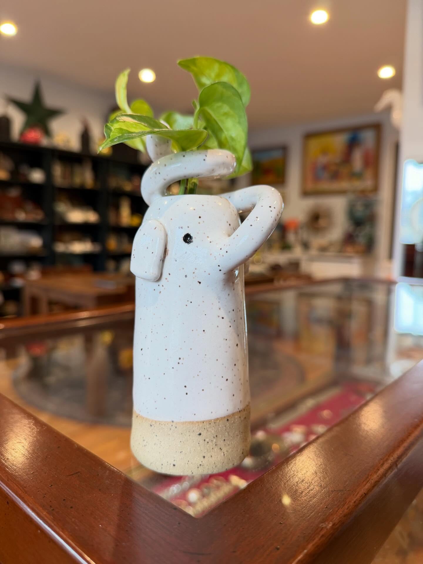 thank you @earthartslb from the bottom of our hearts for the incredible handmade elephant and beautiful plant for our shop.
The ancient Japanese tradition of gifting a propagated plant to a new space is rooted in the philosophy of sharing life, harmony, and prosperity, often embodied by gifting rooted cuttings or Kokedama (moss balls). This practice, sometimes likened to sharing friendship plants or “green gifts,” symbolizes the continuity of care and the fostering of a welcoming environment in a new home.