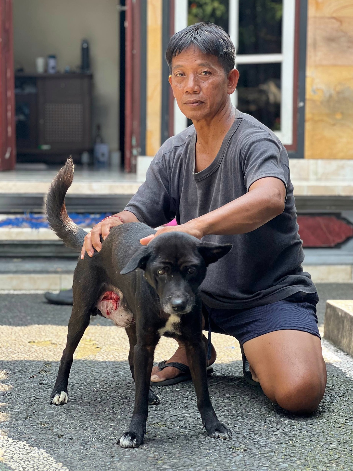 Koko has cancer 💔
Can you help us heal him?
This little boy is Koko. He is a 6 year old epileptic dog who suffers from a severe case of TVT (Transmissible Venereal Tumor).
These tumors form on the genitals, are very painful and life threatening. They transmit through mating and are highly contagious. Passed around the population of unsterilized dogs it spreads quickly, endangering more and more dogs daily.
Thankfully his owner approached our street feeding team and asked for help, unknowingly what the big wound on Koko actually is. This call is now giving him the chance to heal.
Treating TVT is efficient but it comes with significant costs that are out of reach for most local dog owners here in Bali. Depending on the size of the tumor, around 4-15 (sometimes even more) chemotherapies are required to heal them and sterilization to prevent reinfection.
Koko is one of many dogs who we are currently providing chemotherapy for and we are so pleased that despite his epilepsy diagnosis, he is responding well to the treatment given with his tumor shrinking. He will require approximately a total of 10 sessions to free him from cancer entirely.
One chemotherapy costs us USD 30,-. The estimated costs for Koko alone, reaching a minimum of USD 300,-.
With more reports of dogs suffering TVT coming in nearly daily, we are doing everything we can to provide treatment one by one for as many as possible. But we urgently need funding to be able to cure them all and to put a stop to this disease.
We have created a tier on our Patreon page dedicated to treat TVT and hoping to find as many monthly sponsors as possible to be able to help with the urgency of this life-threatening matter.
A one time donation of USD 30,- per chemotherapy, also for Koko, is very gratefully received through the link in our bio or our donate highlight button. Please note ‘TVT’ on your transfer.
Thank you so much for your support. 🙏🏻