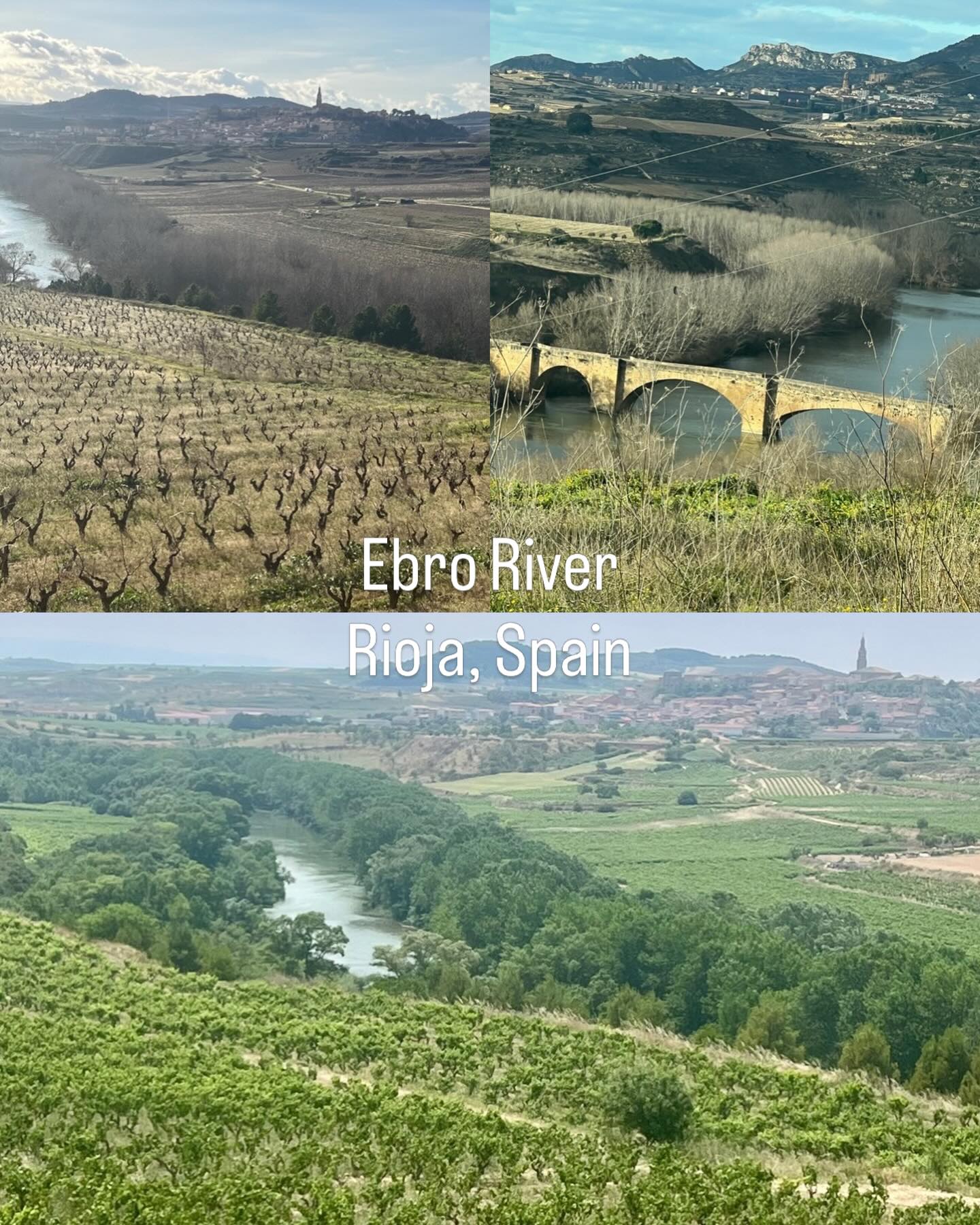 The River Ebro runs through Rioja. Separating Rioja Alta and Rioja Alavesa….wont be long now before the Sporty Sippers will be kayaking down the Ebro #hop4wine #grapeadventures #rioja