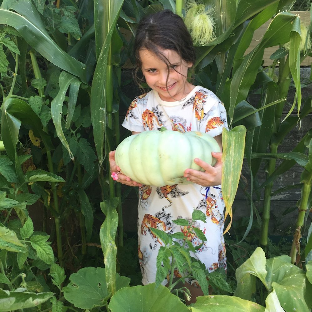 Harvest time!
What's available in autumn?š
- Feijoas
- Sweetcorn
- Avocado
- Pumpkin
- Eggplant
- Apples
- Blackberries
- Blueberries
- Grapes
- Leeks
- Beetroot
- Capsicum
šš„šš«š
Seasonal fruits and vegetables that have ripened naturally are fresher and tastier and have higher amounts of antioxidants and phytonutrients. The longer fruits and vegetables are stored while being processed and transported, the less nutrients they retain.
šRead more here >>>
https://onlinelibrary.wiley.com/doi/full/10.1002/fsn3.685
https://www.researchgate.net/publication/230801370_Quality_Changes_during_Storage_of_Spinach_and_Lettuce_Baby_Leaf
https://www.sciencedirect.com/science/article/pii/S0308814617306556