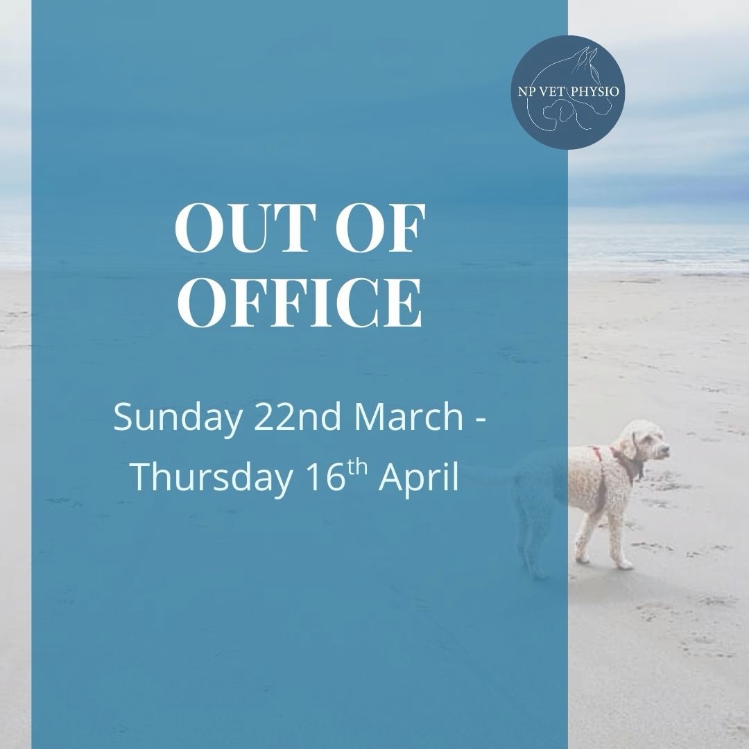 📆 I will be out of office from Sunday 22nd March - Thursday 16th April. Enquiries will be responded to, but please allow for a delay! ✈️🌍
I am returning to work on Thursday 16th so please get in touch to book in if you need an appointment and haven’t already done so! 🤗
📞 07772292461
📧 nickie@npvetphysio.co.uk
🌐 www.npvetphysio.co.uk