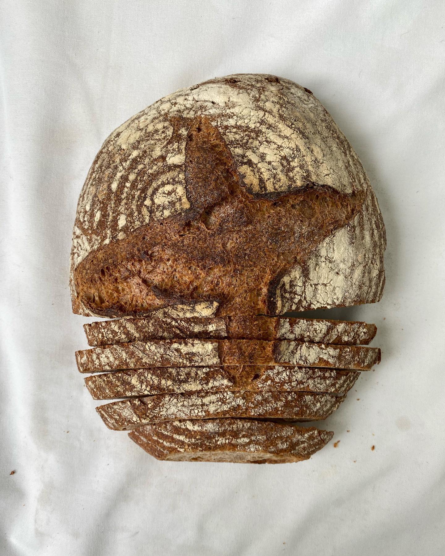 Pa d'espelta integral de gra complet.✨
Característiques:
L'espelta no ha patit tantes modificacions genètiques com el blat, per tant és un cereal que ha mantingut moltes de les seves característiques originals que li proporcionen un perfil nutricional increïble.
A més a més és un pa que ens resulta més fàcil de digerir ja que l'espelta conté menys quantitat de gluten que el blat.
.
.
.
Pan de espelta integral de grano completo.✨
Características:
La espelta no ha sufrido tantas modificaciones genéticas como el trigo, por lo tanto es un cereal que ha mantenido muchas de sus características originales que le proporcionan un perfil nutricional increíble.
Además es un pan que nos resulta más fácil de digerir puesto que la espelta tiene menos cantidad de gluten que el trigo.