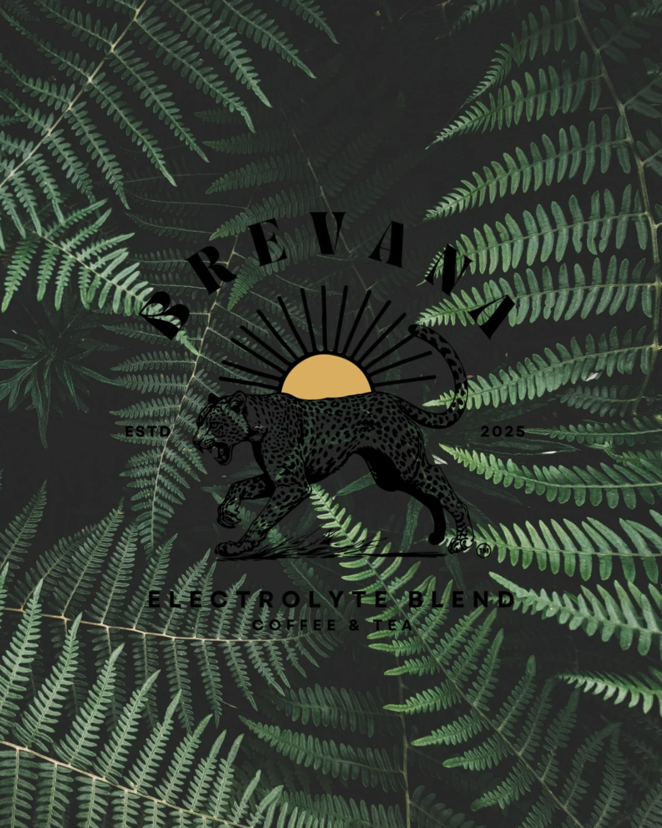 Green looks good on us. Happy St. Patrick’s Day 🍀
#brevana #electroloyte #health #coffee #tea