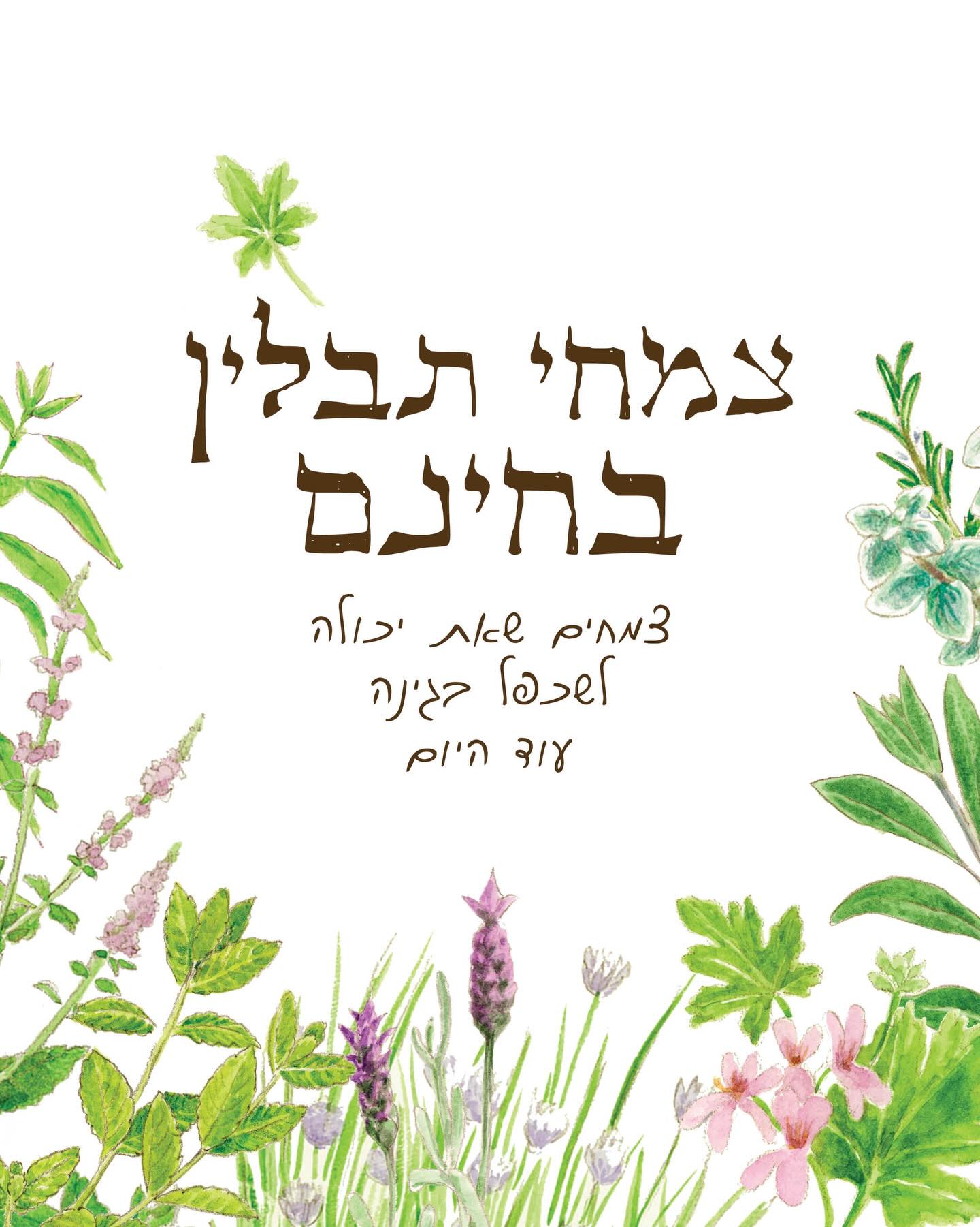 ככל שהימים חולפים אני מבינה כמה מעט נמצא בשליטתנו, ומצד שני - כמה חירות יש בלגדל צמחים.
אספתי לכן את נבחרת צמחי התבלין הרב-שנתיים שהכי קל להרבות לבד בבית: ענף אחד, צנצנת מים, וקצת אמונה בשורשים - ויש לך גינה שלמה. בחינם.
עכשיו הזמן שבהם נמצאים צמחי התבלין המקומיים בפריצה, וזה אומר שכל ההורמונים נמצאים בתוך הצמח, ואנחנו רק צריכות לתת לו כמה תנאים בסיסיים.
בתוך כמה שבועות כבר יהיו לנו צמחים עצמאיים, מניבים ושופעים.
שיטות הריבוי:
#השרשה במים - חותכים ענף ושמים בכלי עם מים.
וכעבור מספר ימים נראה התפתחות של שורשים ועלים חדשים.
הענפים ימשיכו לצמוח ולהניב במים למשך כמה שבועות עד חודשים.
#ייחור באדמה -
אם המטרה היא שתיל שחי באדמה, כדאי לדלג על שלב המים ולהשריש ישירות במצע שתילה.
בוחרים ענף בריא (לא צעיר מדי ולא עצי מדי), מורידים את העלים מהשליש התחתון ונועצים בתוך עציץ עם אדמת שתילה לחה.
חלוקת שורשים -
מתאים לצמחים שגדלים ב”גושים” צפופים כמו #זעתר ואורגנו, #עירית או לימונית.
מוציאים את הצמח מהעציץ (או חופרים בזהירות מהצד אם הוא באדמה) ומפרידים בידיים קבוצת ענפים שיש להם כבר שורשים. שותלים מיד בעציץ נפרד.
#הברכה -
שיטה מושלמת לצמחים זוחלים או גמישים כמו רוזמרין זוחל, נענע או קורנית.
לוקחים ענף שעדיין מחובר לצמח האם, מכופפים אותו לאדמה ומכסים באדמה (אפשר להניח אבן קטנה שתחזיק אותו).
הענף יוציא שורשים לתוך האדמה בזמן שהוא עדיין מקבל אוכל מאמא. אחרי חודש-חודשיים פשוט חותכים את הקשר - ויש לנו שתיל עצמאי!
להשריש צמח זה להאמין במחר. לקחת ענף קטן ולהפוך אותו לשפע אדיר!