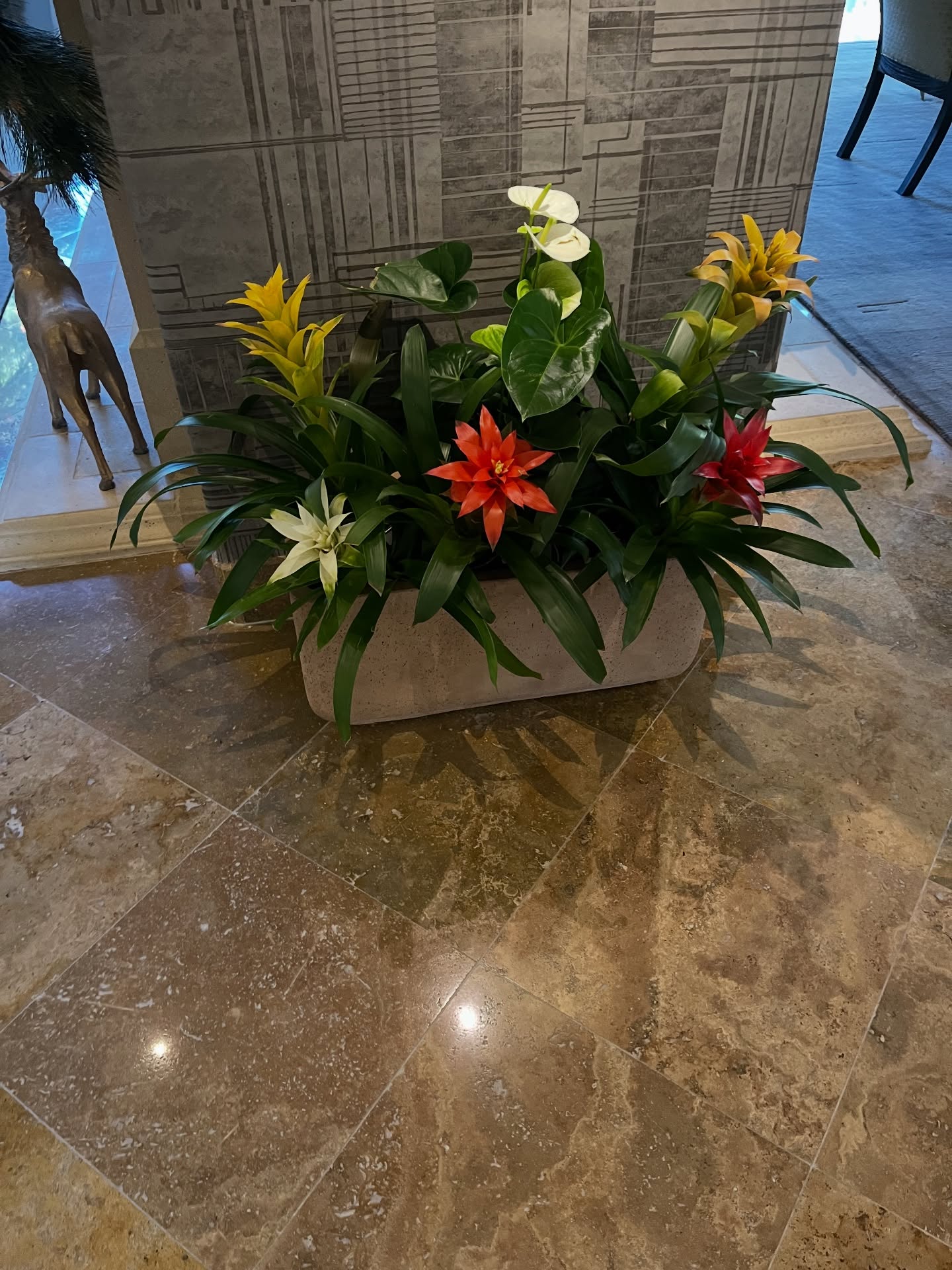 A vision, brought to life, exactly as she imagined.
Our client hand-selected each bromeliad, curating her own palette of color and texture. We simply brought it all together, delivering, designing, and installing her vision seamlessly into the space.
At Plantology, every arrangement tells a personal story. Thoughtfully chosen. Beautifully placed. Effortlessly elevated.
Because true luxury… is having it done for you.
#PlantologyDesign #RanchoSantaFe #LuxuryLiving #Bromeliads #CustomDesign