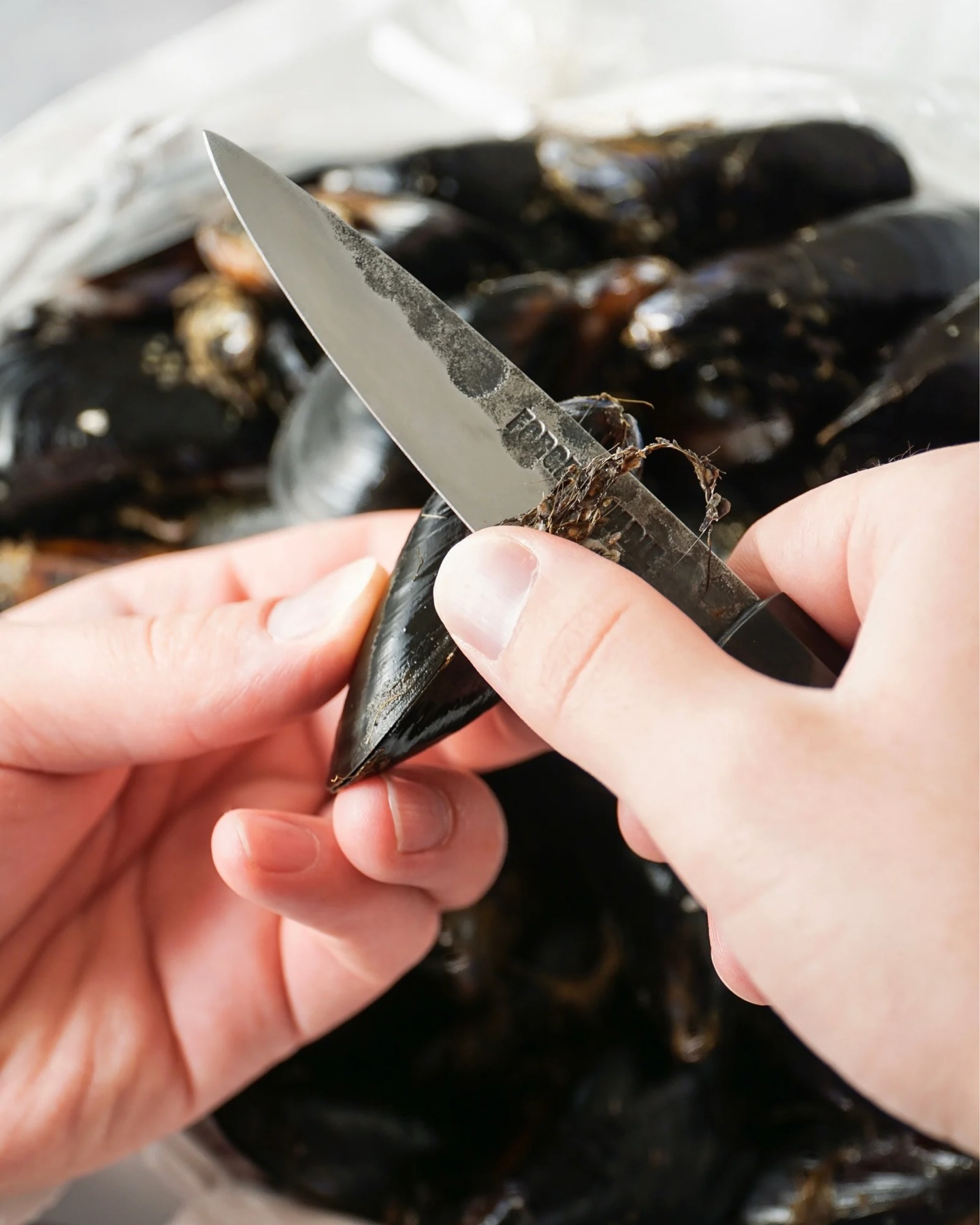 Guinness Steamed Mussels (Drunken Mussels) 🍀
Listen, we’re all about the meat and potatoes on St. Patty’s Day, something many of us here in the States instantly associate with Ireland. But you might be surprised to learn that Ireland is also home to some incredible seafood, including big, buttery mussels fresh from the coast.
If you are looking for a little inspiration for a spirited meal beyond corned beef and potatoes, we have you covered!
Check out our recipe for what might just become your new favorite St. Patrick’s Day dish, and learn how to tame those funny little mussel “beards” if you can get your hands on some wild-harvested ones.
Recipe by Maya Alderman (@kuishinbo_maya), inspired by her travels and her love for a good pint of the brown stuff🍺