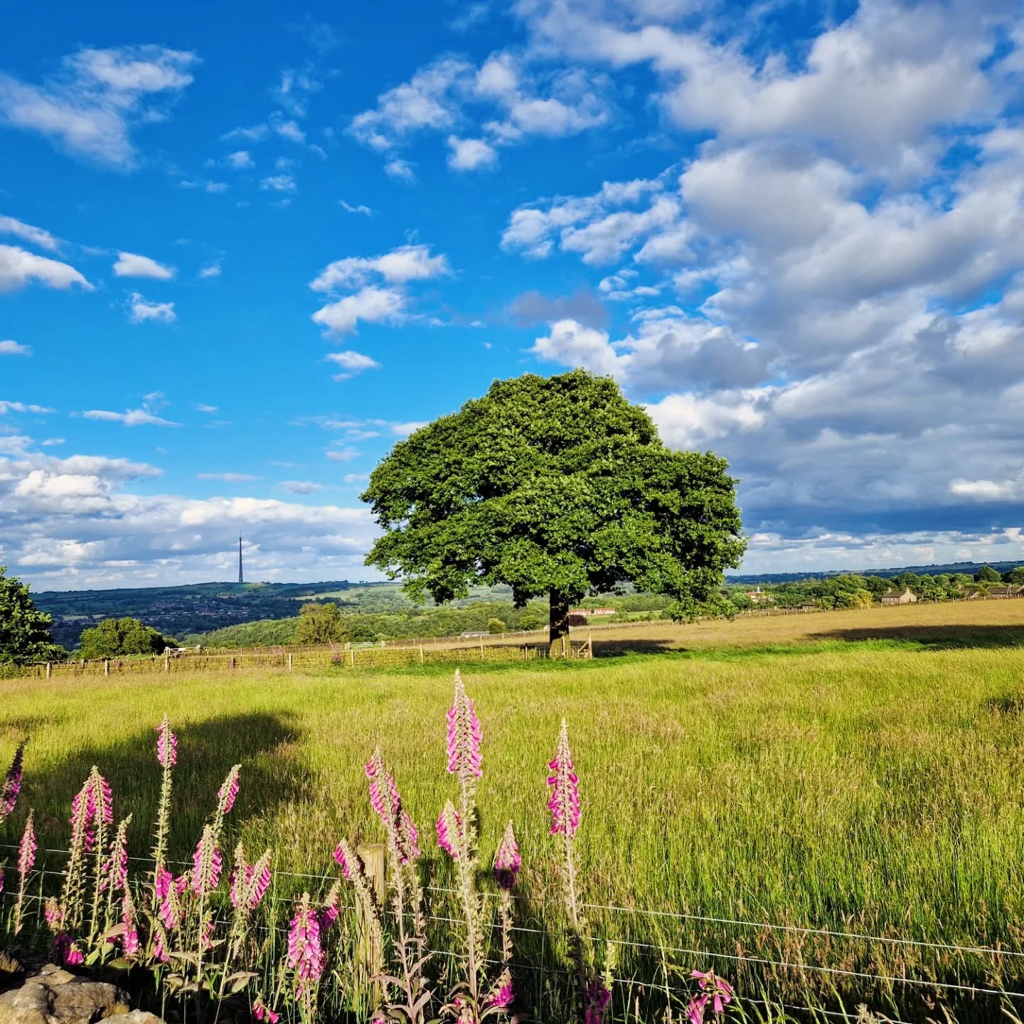 Lots of colour everywhere!